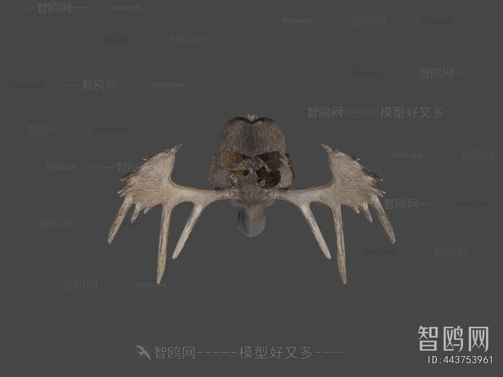 Modern Mammal