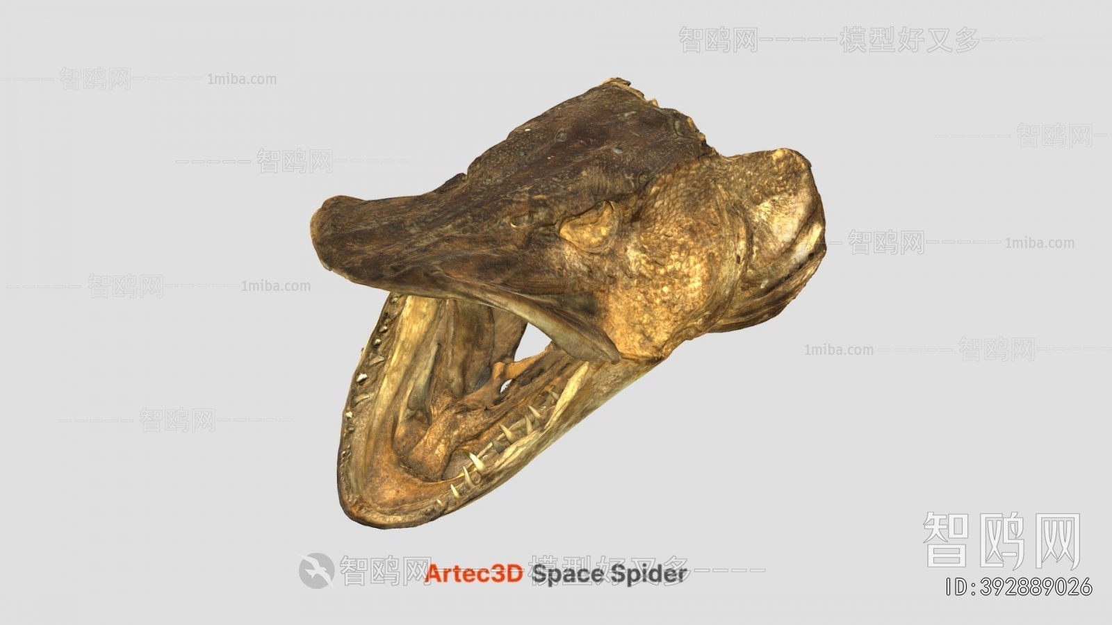 Modern Medical Equipment