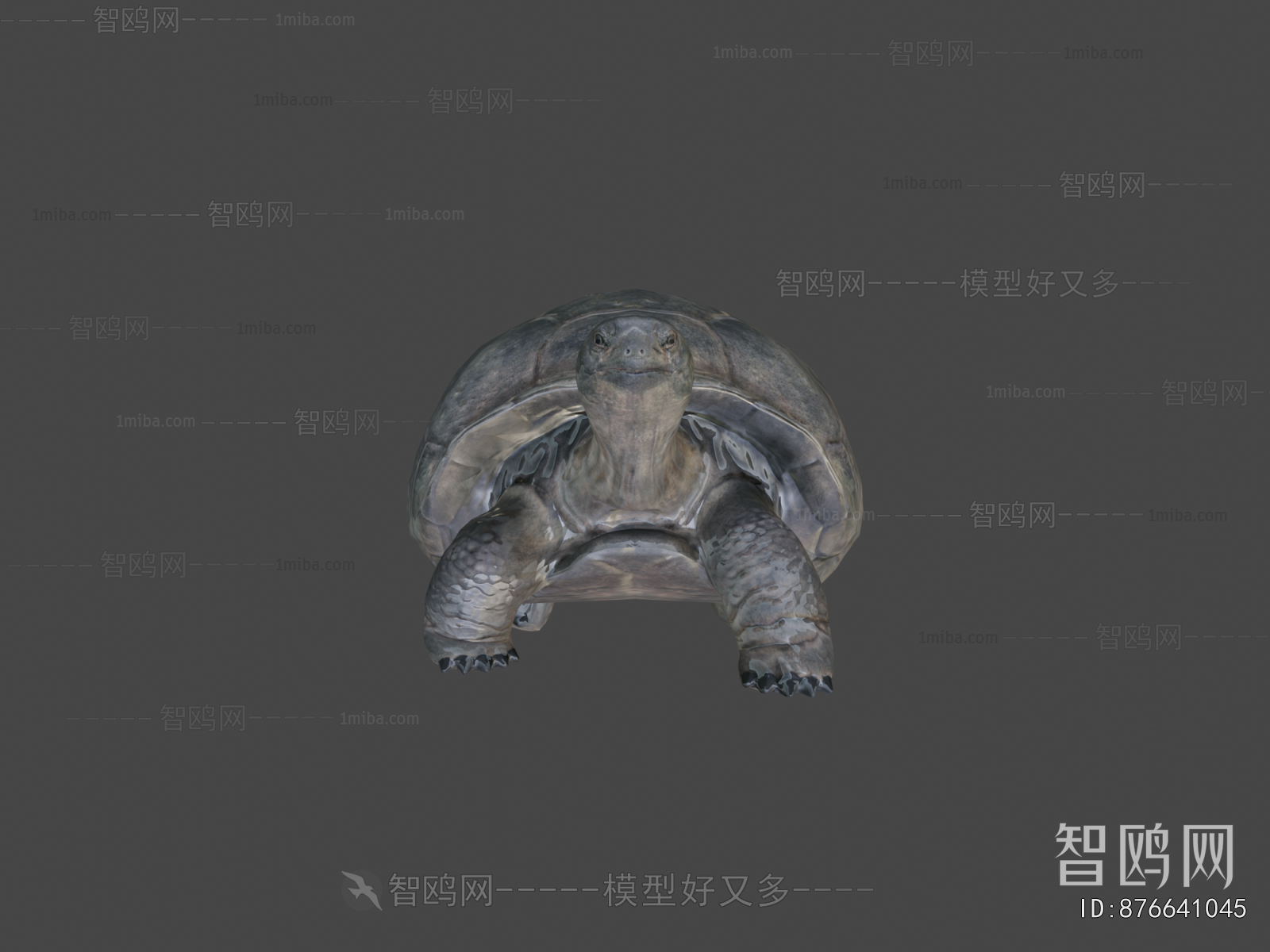 Modern Reptile