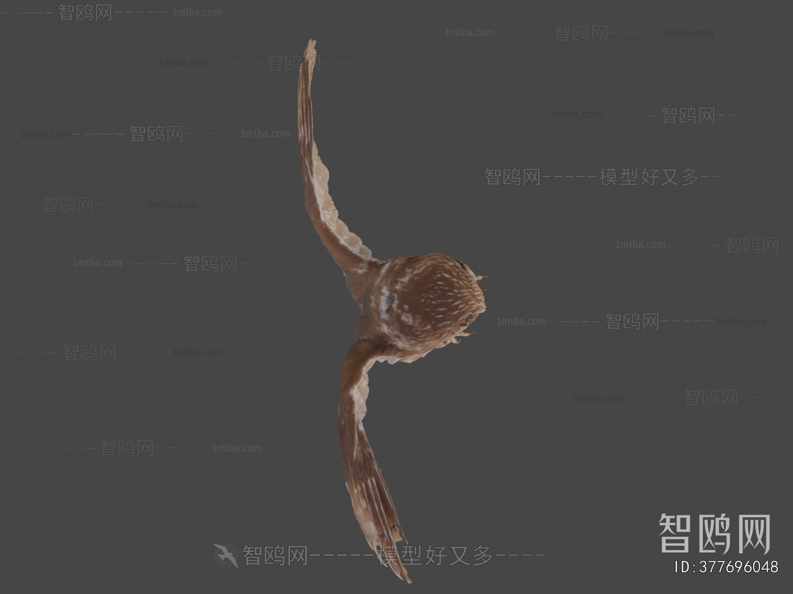 Modern Animal