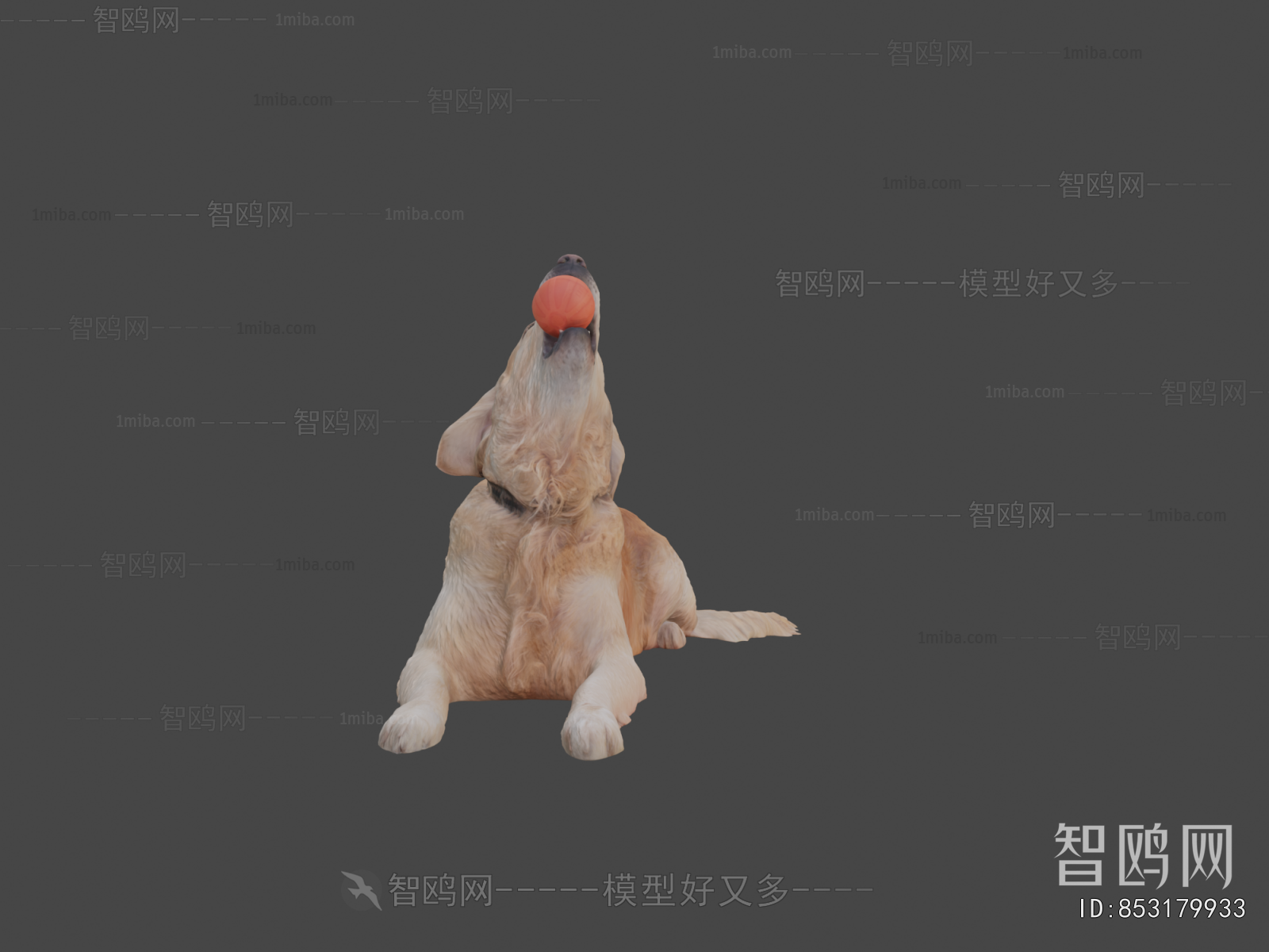 Modern Animal Dog