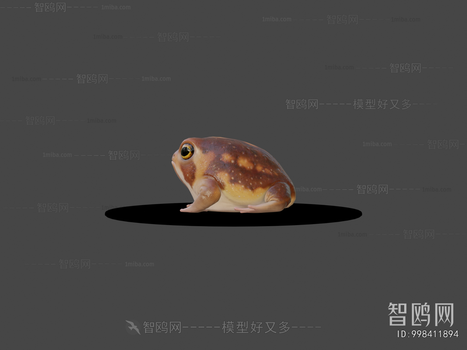 Modern Aquatic Animals