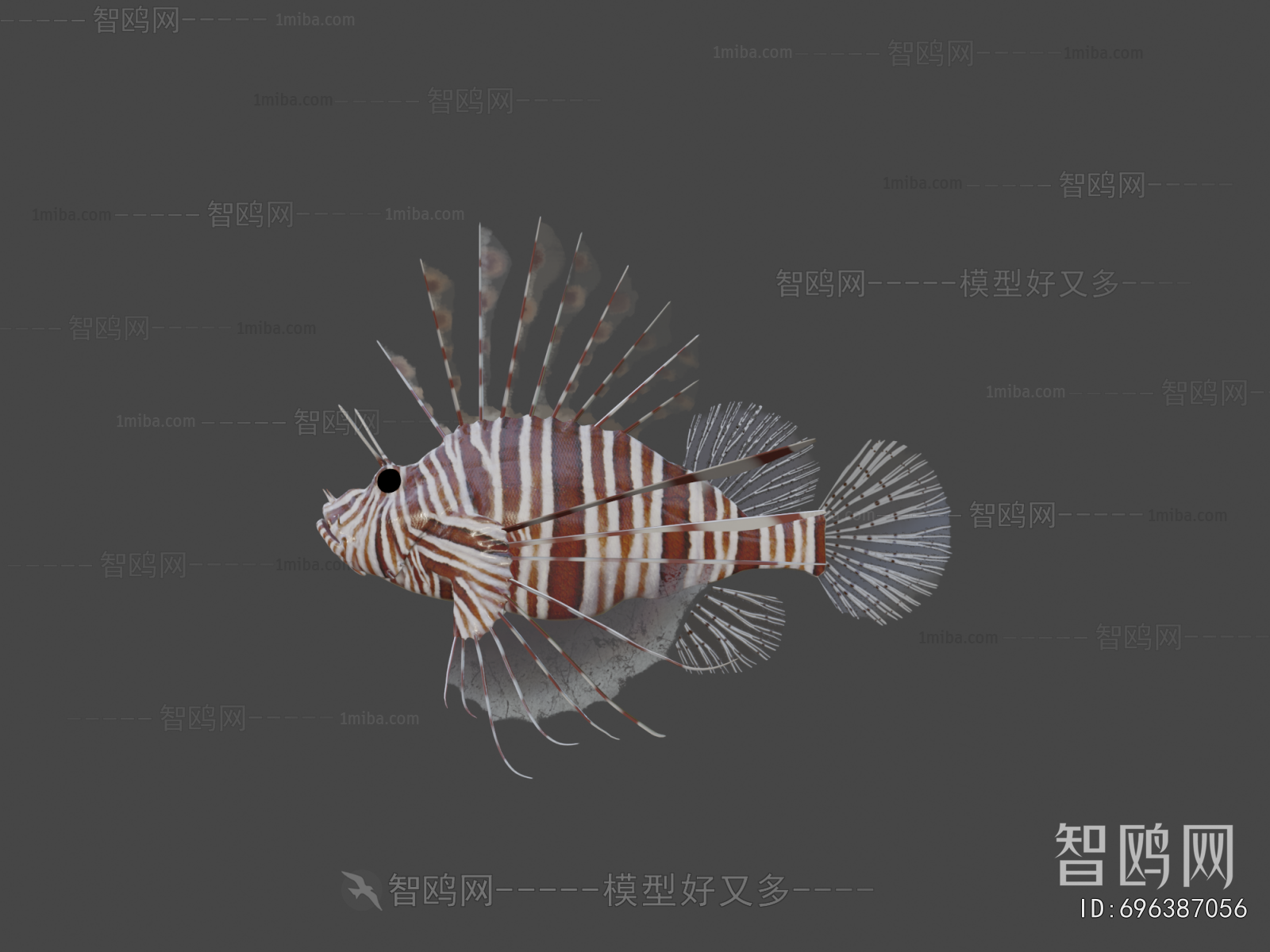 Modern Animal