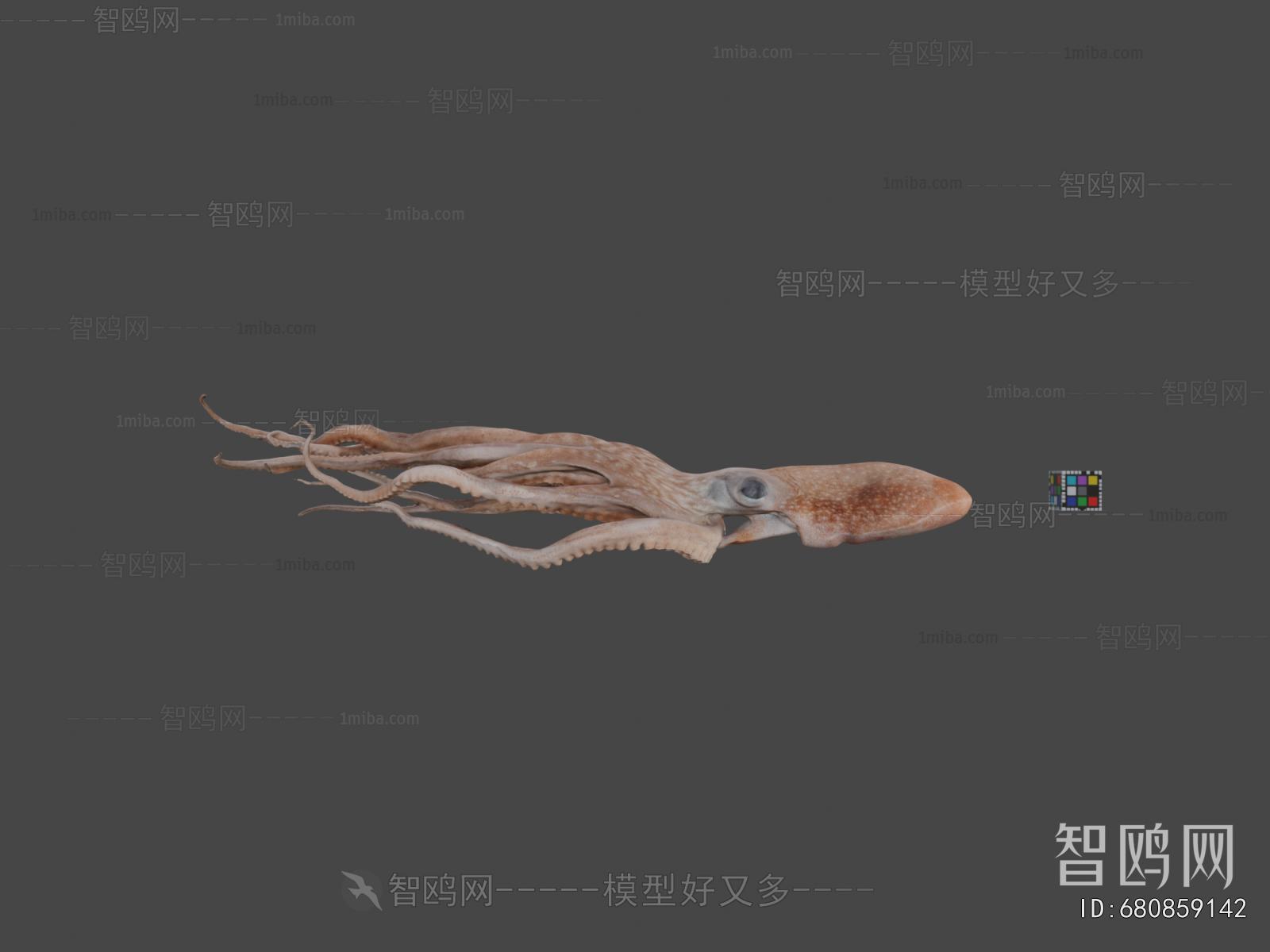 Modern Animal