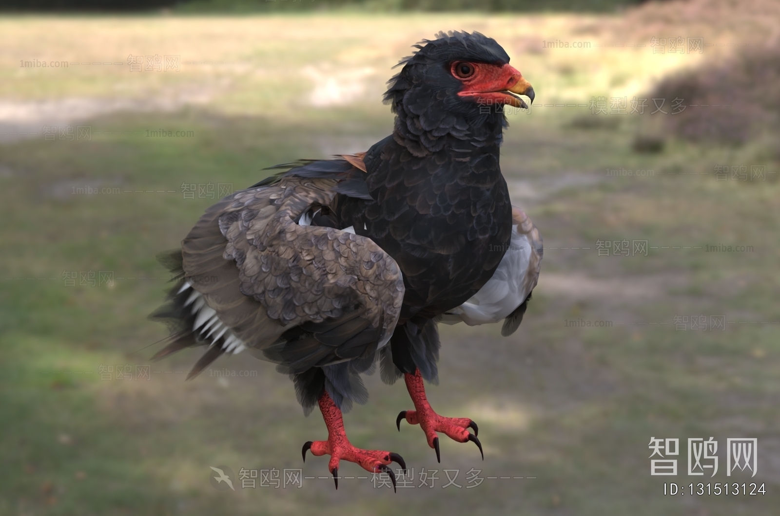 Modern Flying Animals