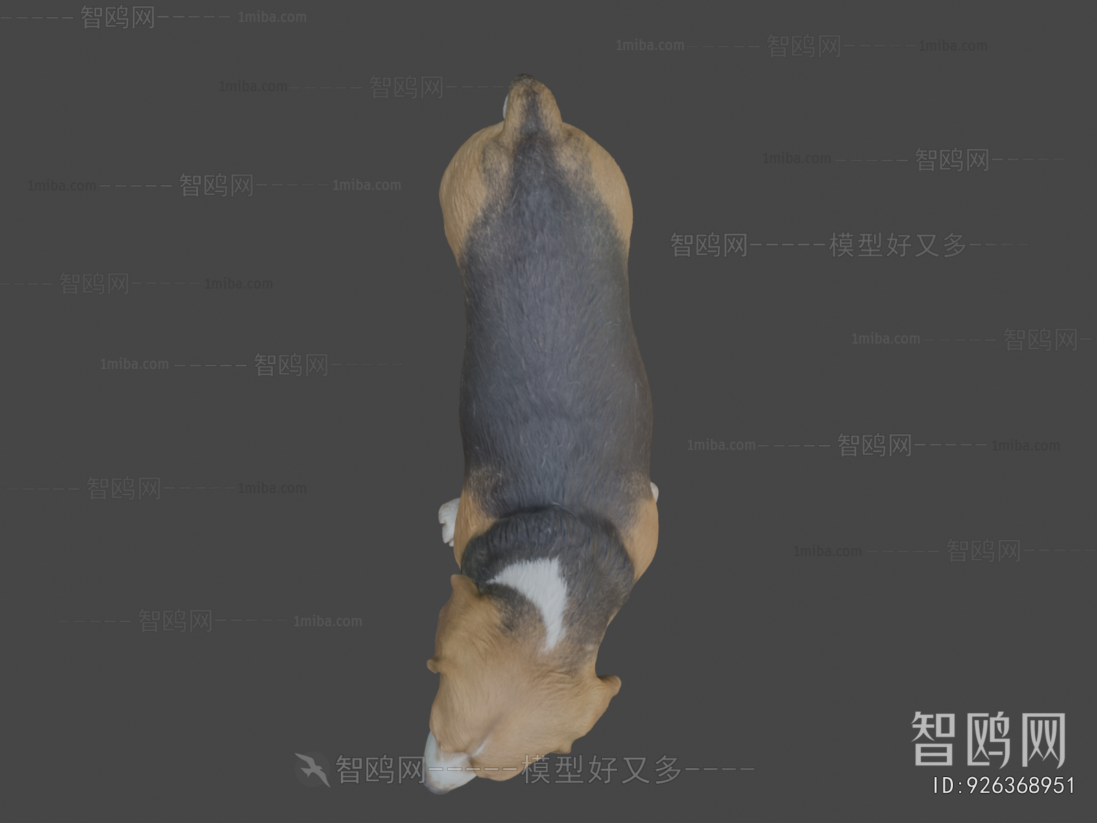 Modern Animal Dog