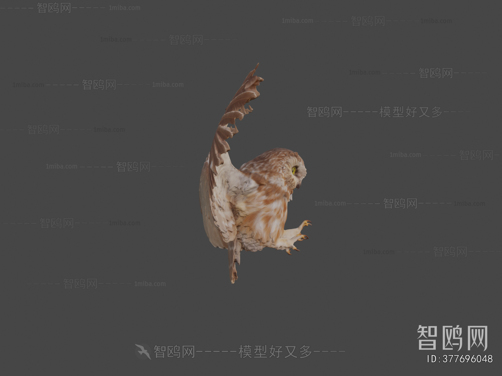 Modern Animal