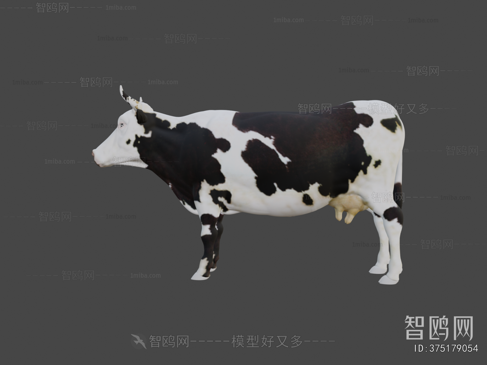 Modern Animal