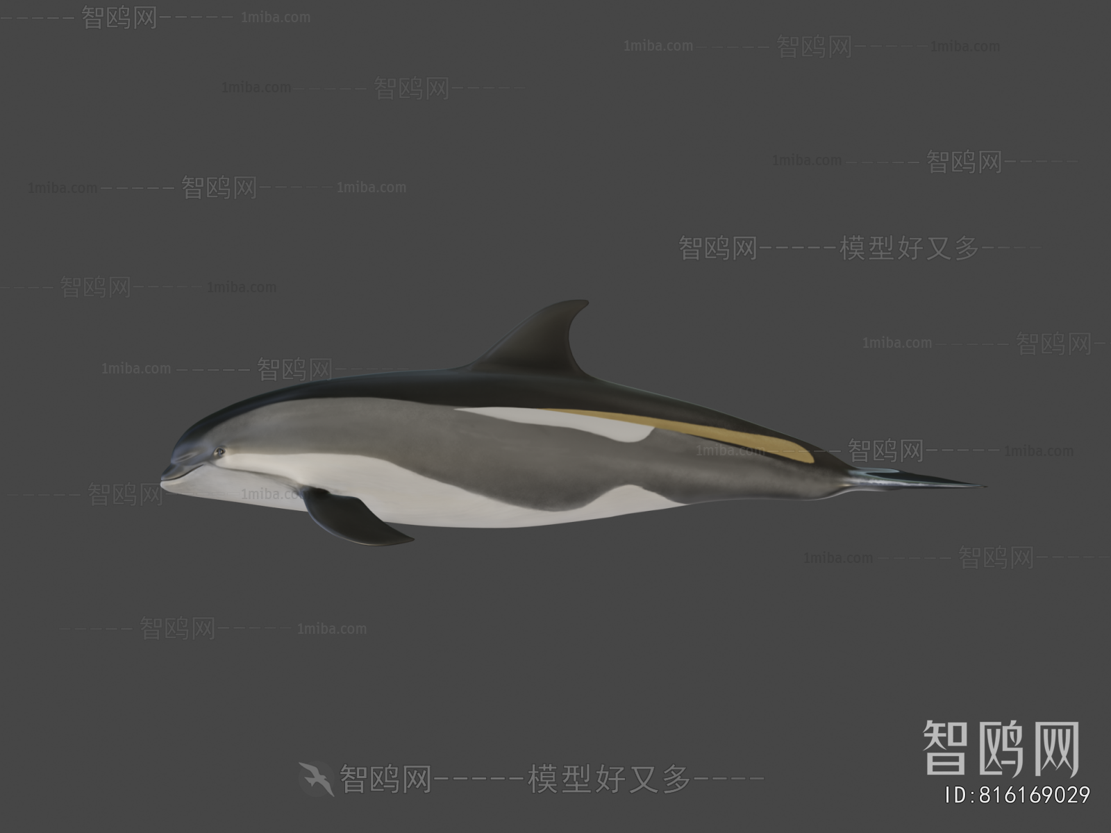 Modern Aquatic Animals