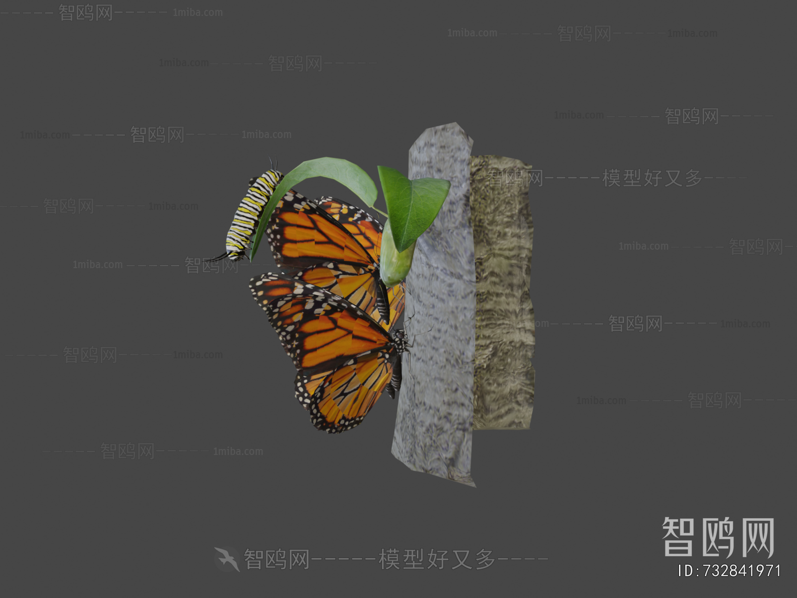 Modern Flying Animals