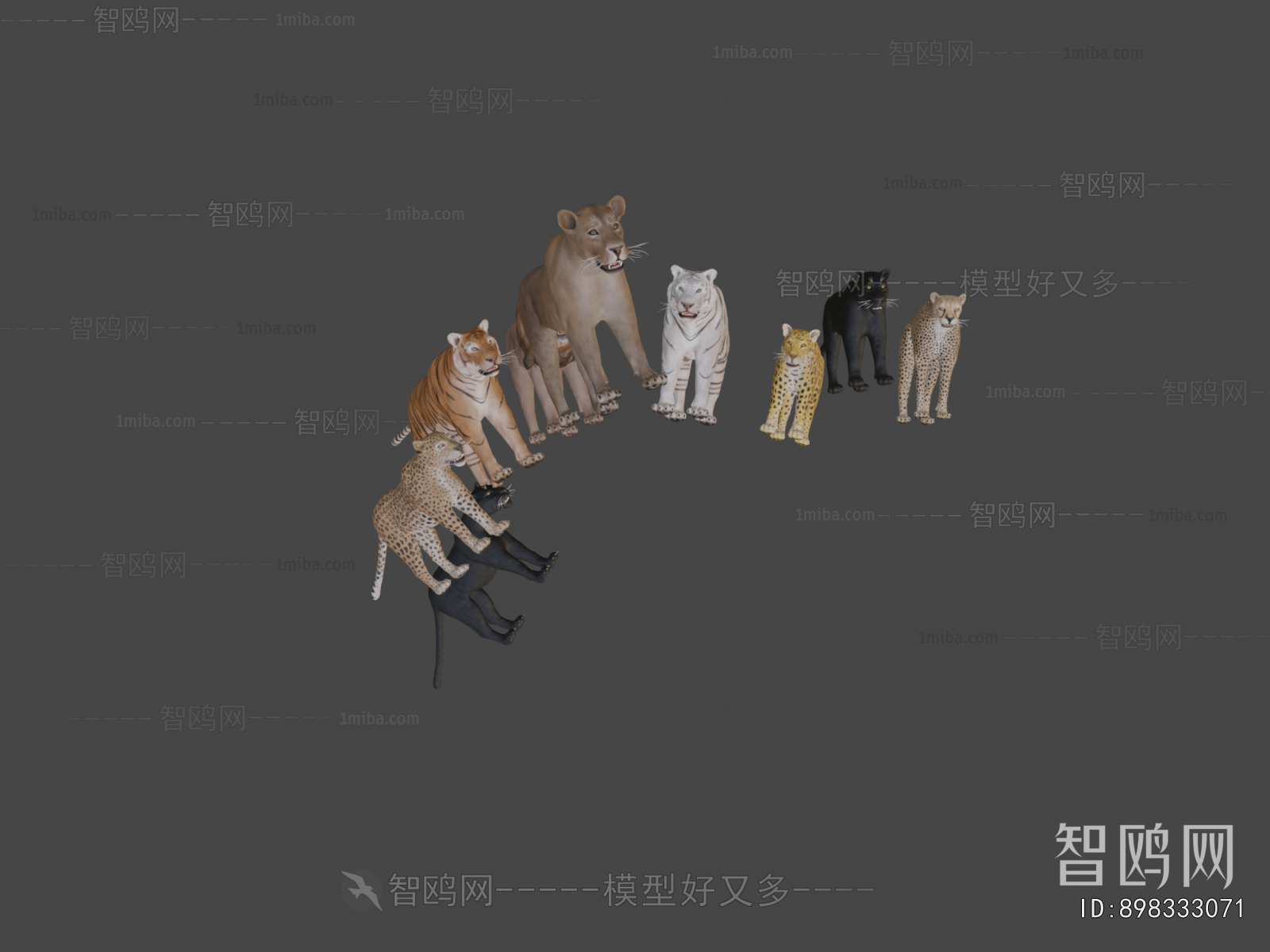Modern Animal