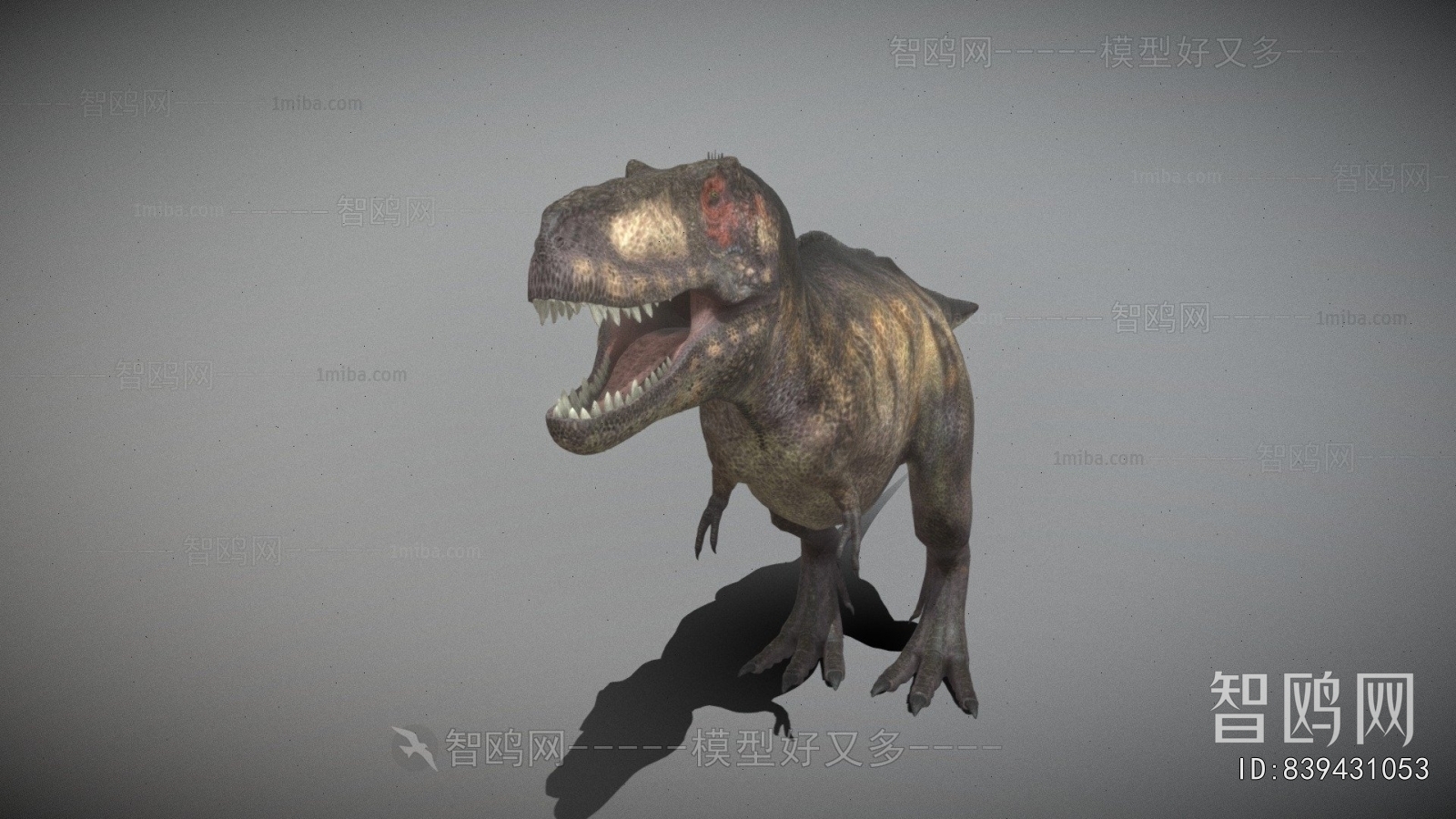 Modern Animal
