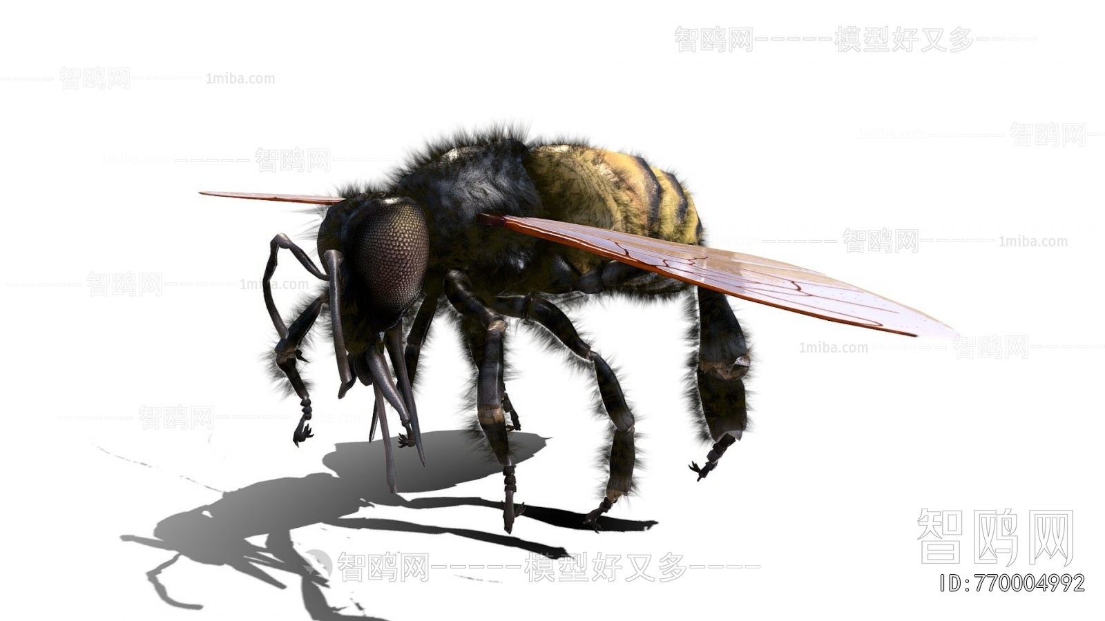 Modern Flying Animals