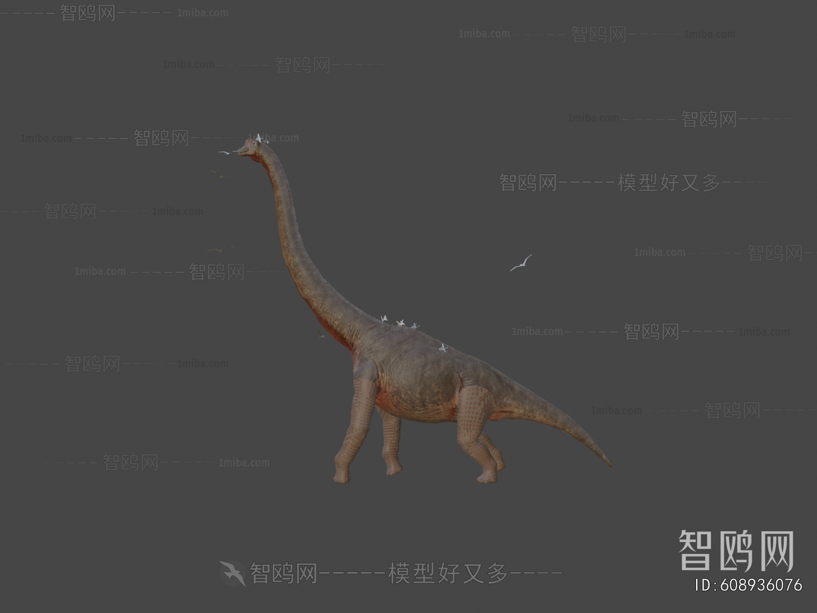 Modern Animal