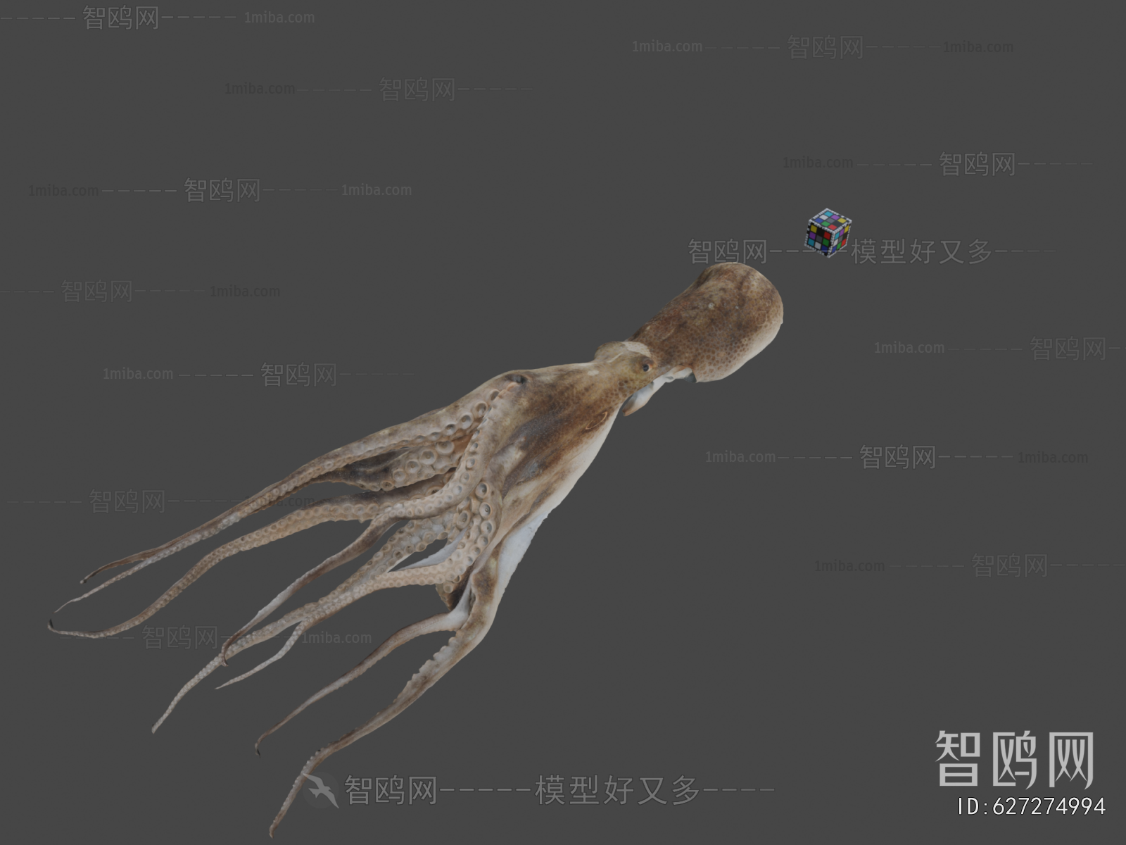 Modern Aquatic Animals