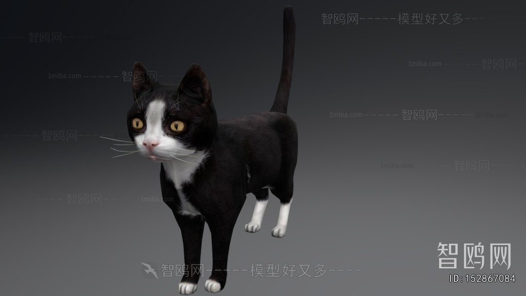Modern Animal
