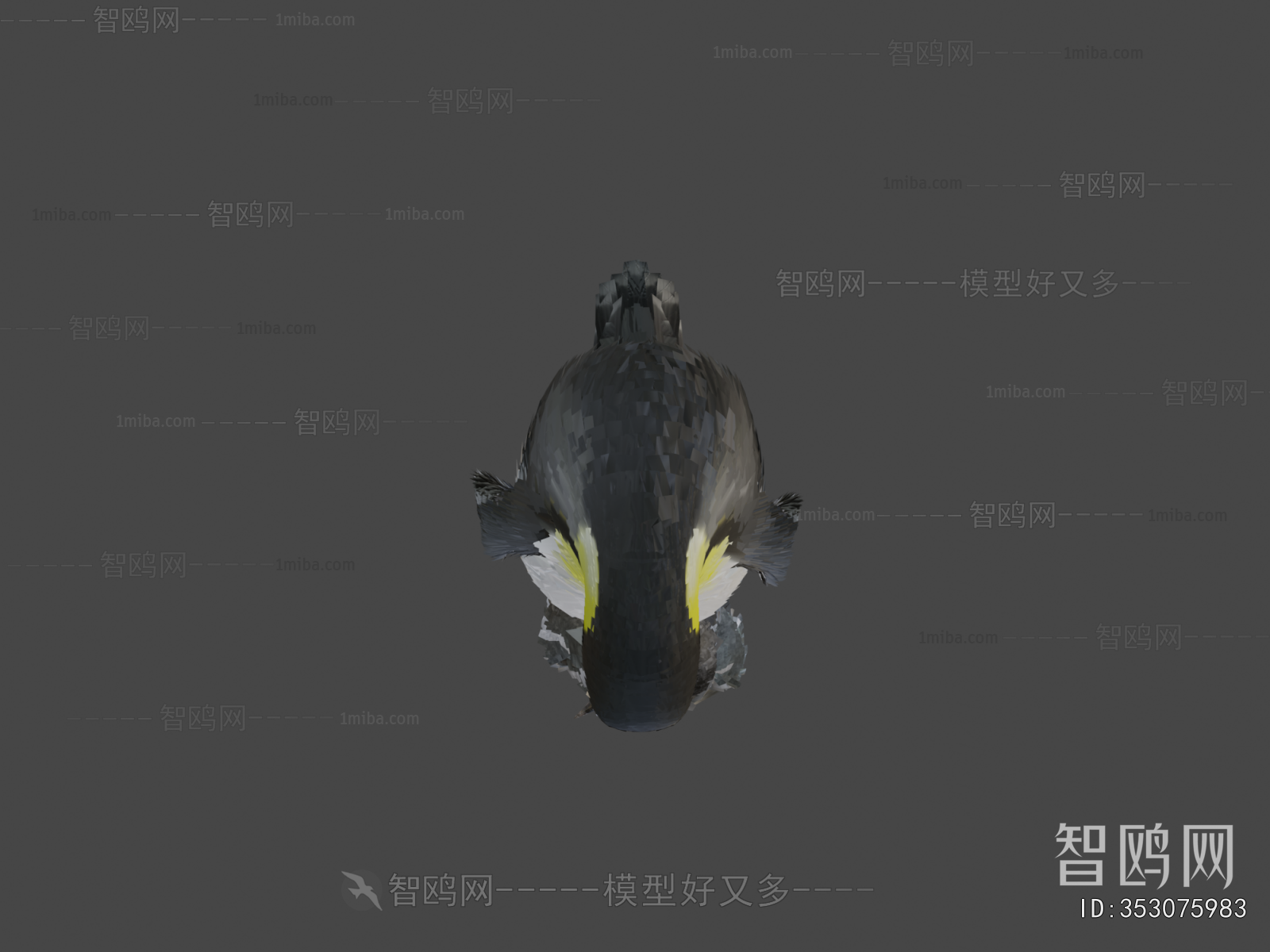 Modern Animal
