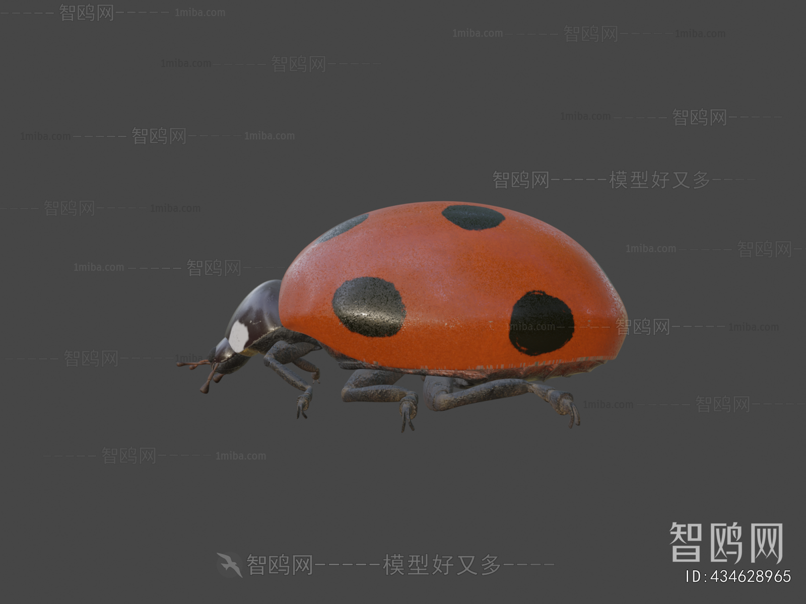Modern Animal