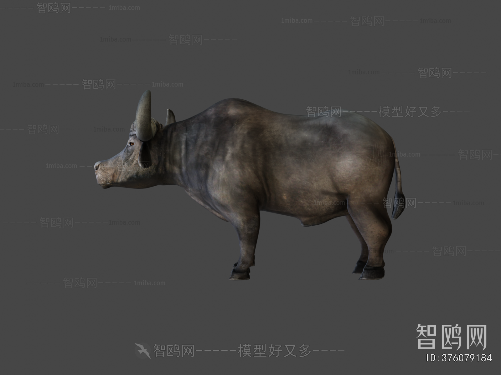 Modern Animal