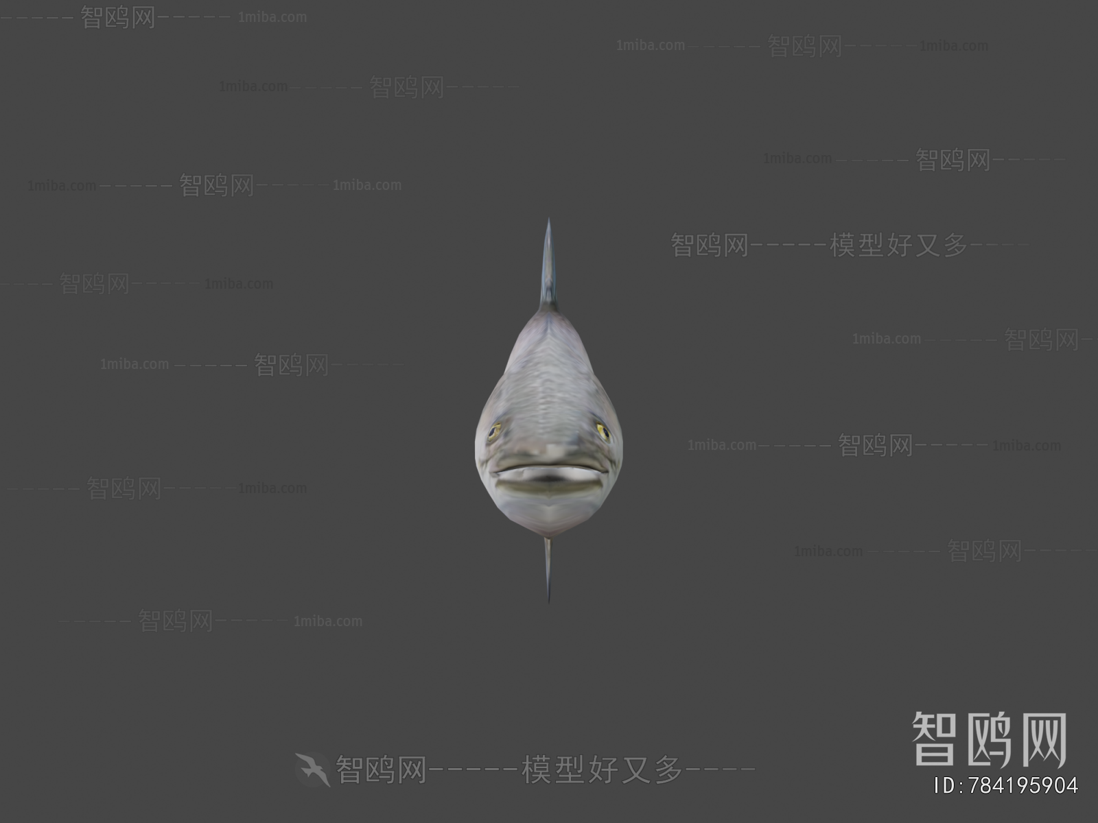 Modern Aquatic Animals