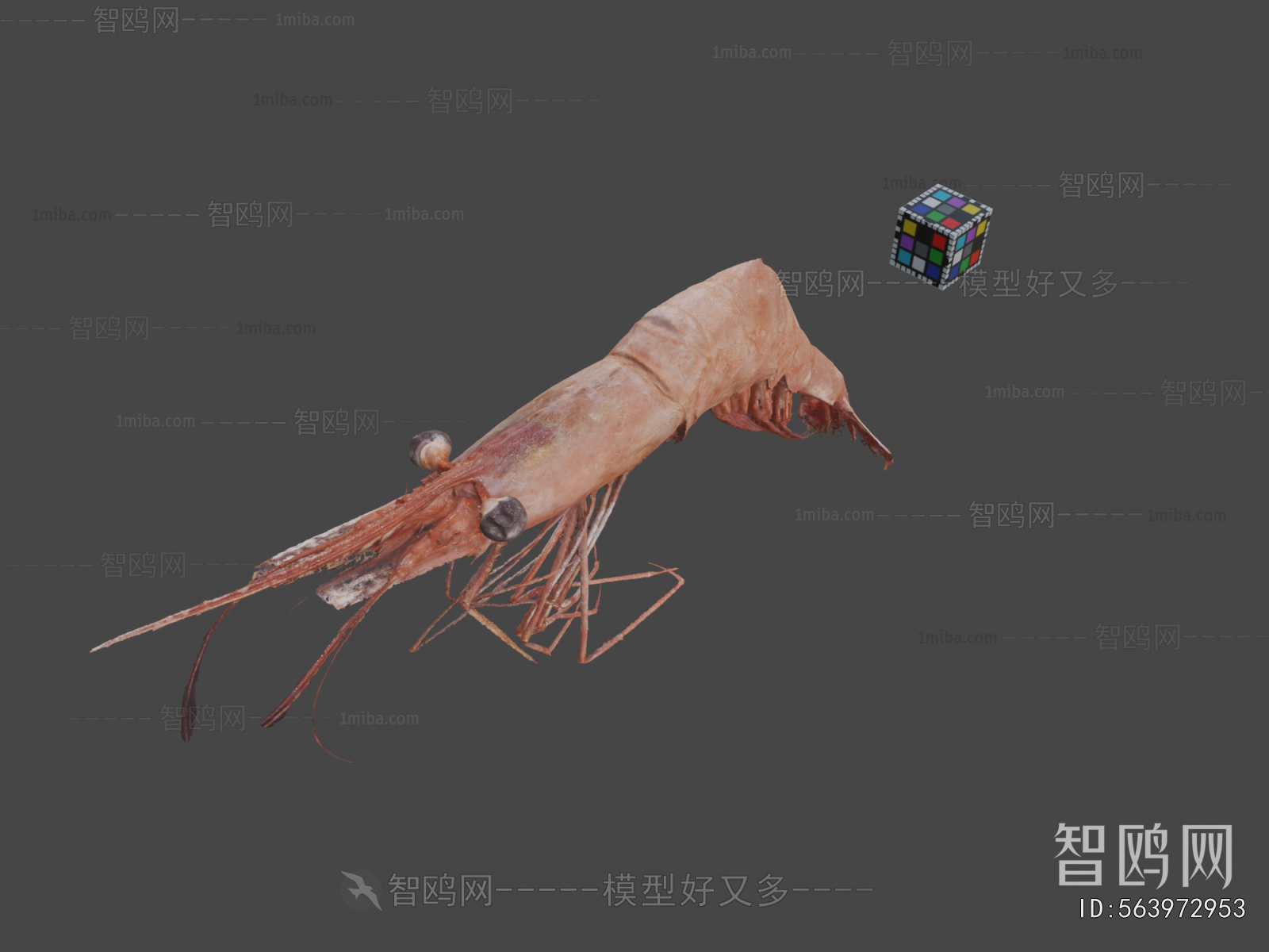Modern Animal