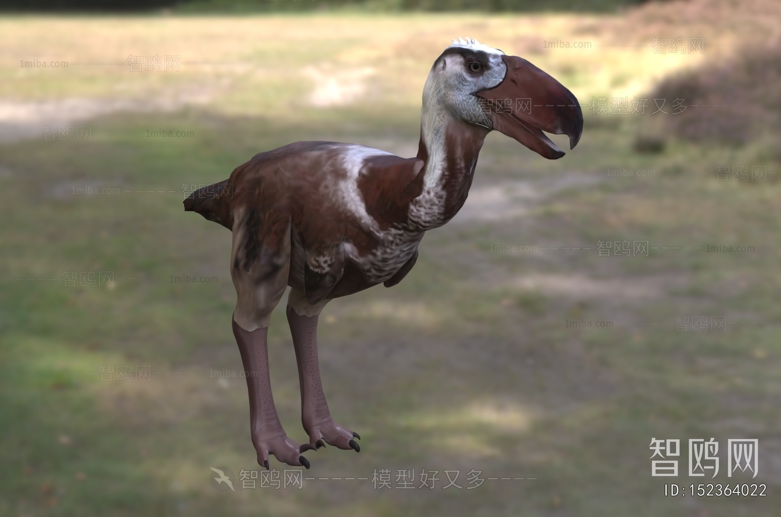Modern Flying Animals