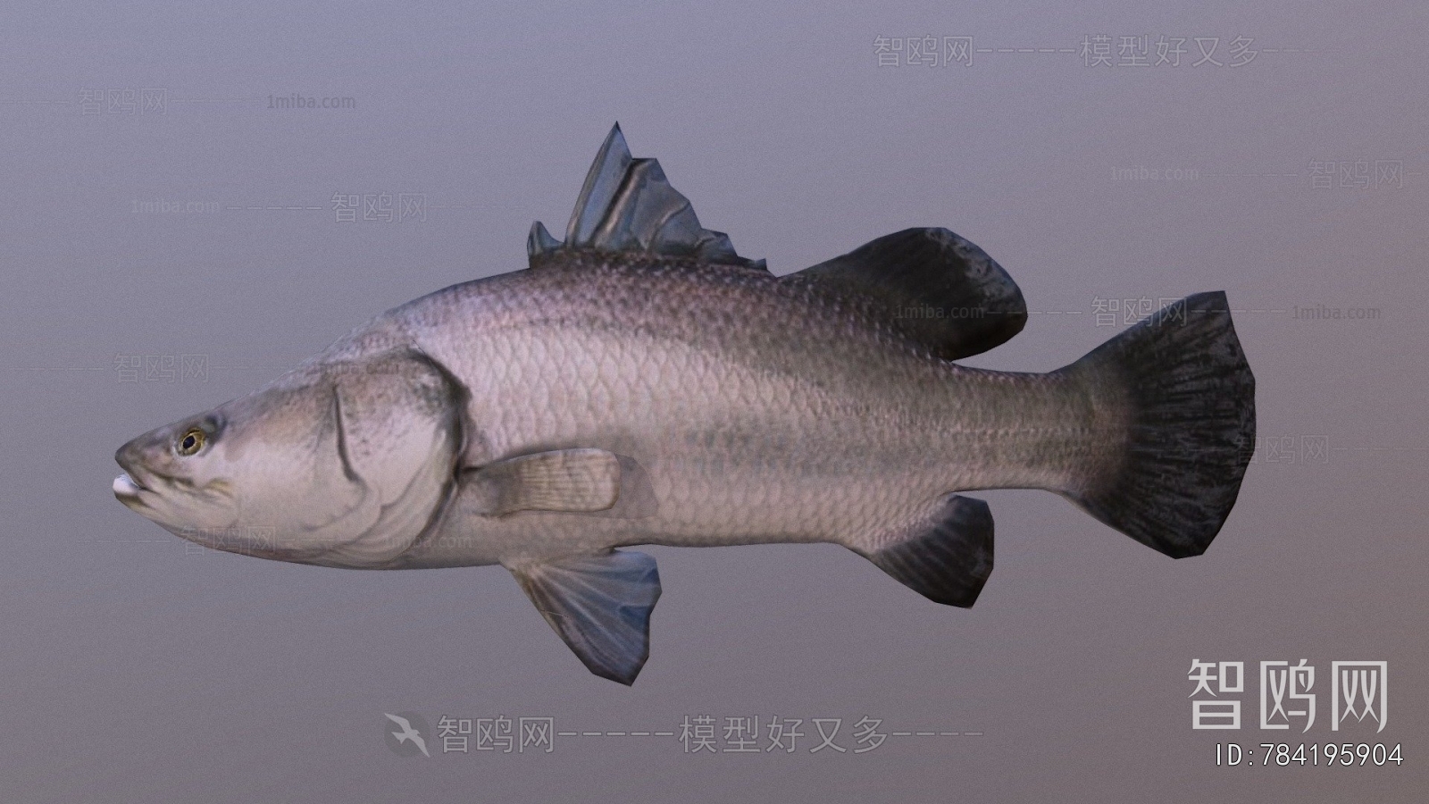Modern Aquatic Animals