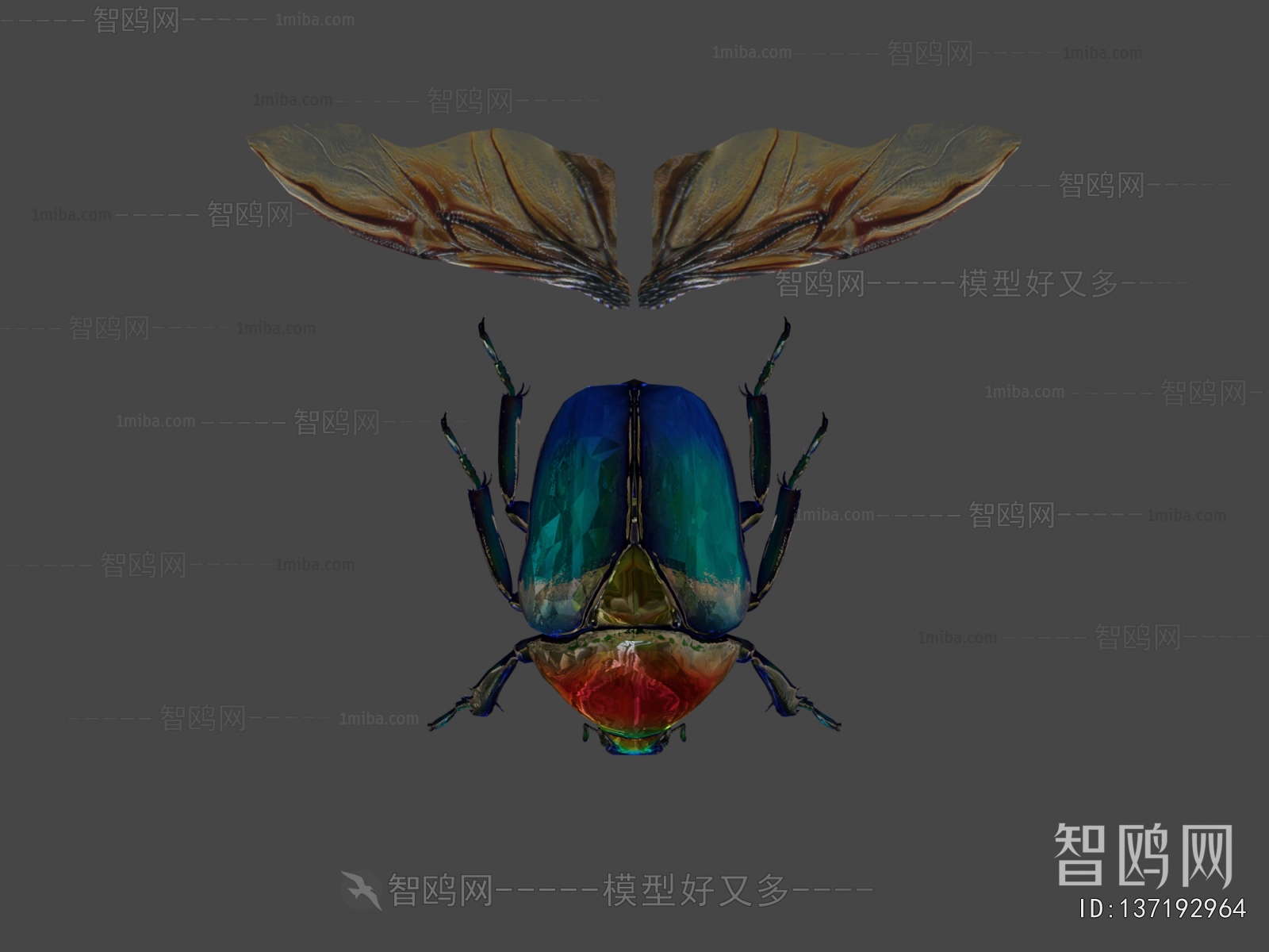 Modern Animal