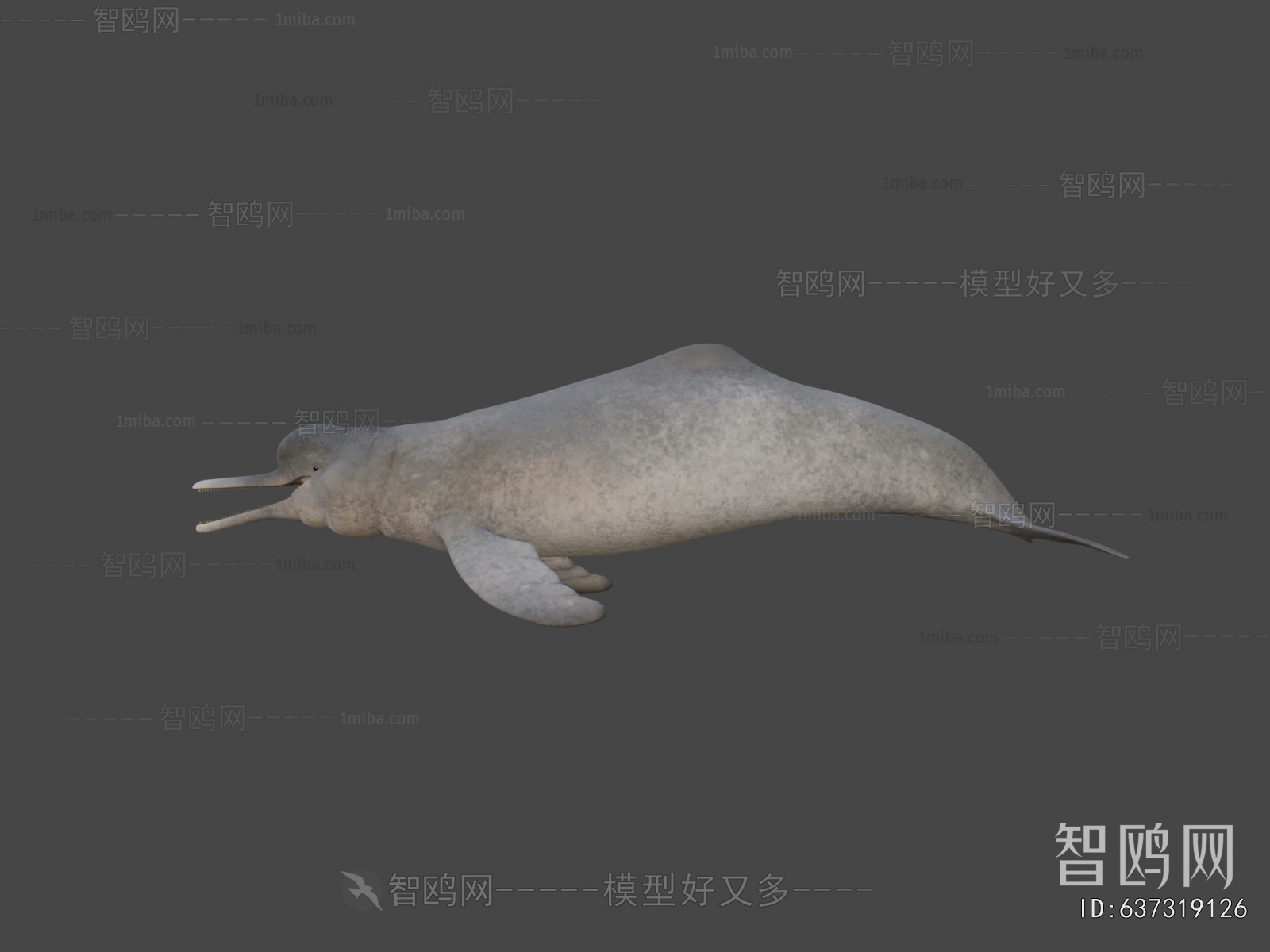Modern Animal