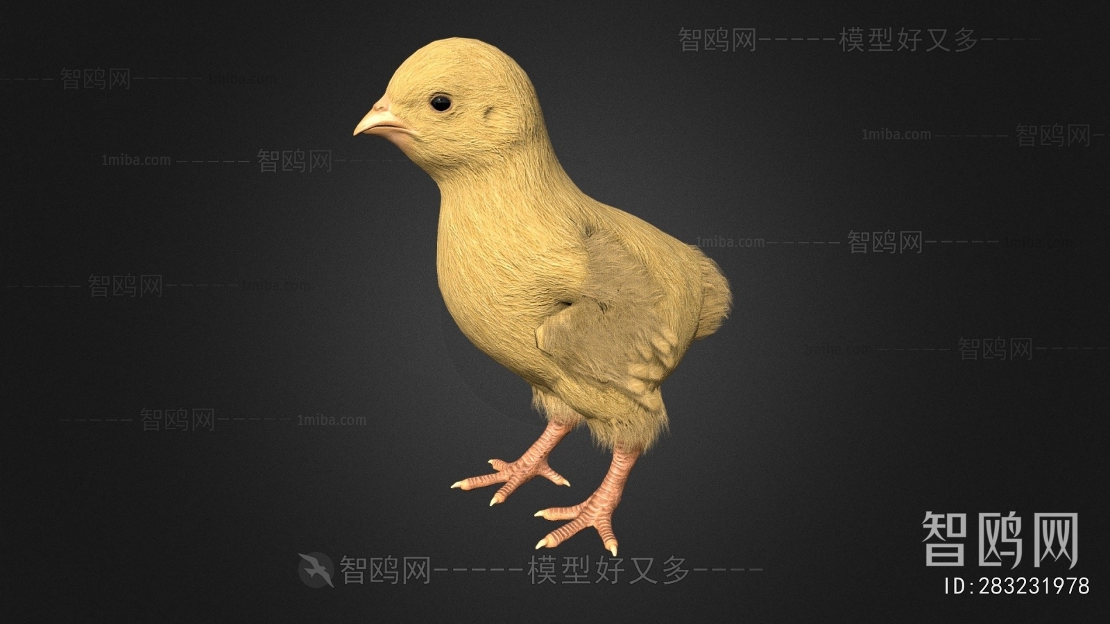 Modern Poultry Animal