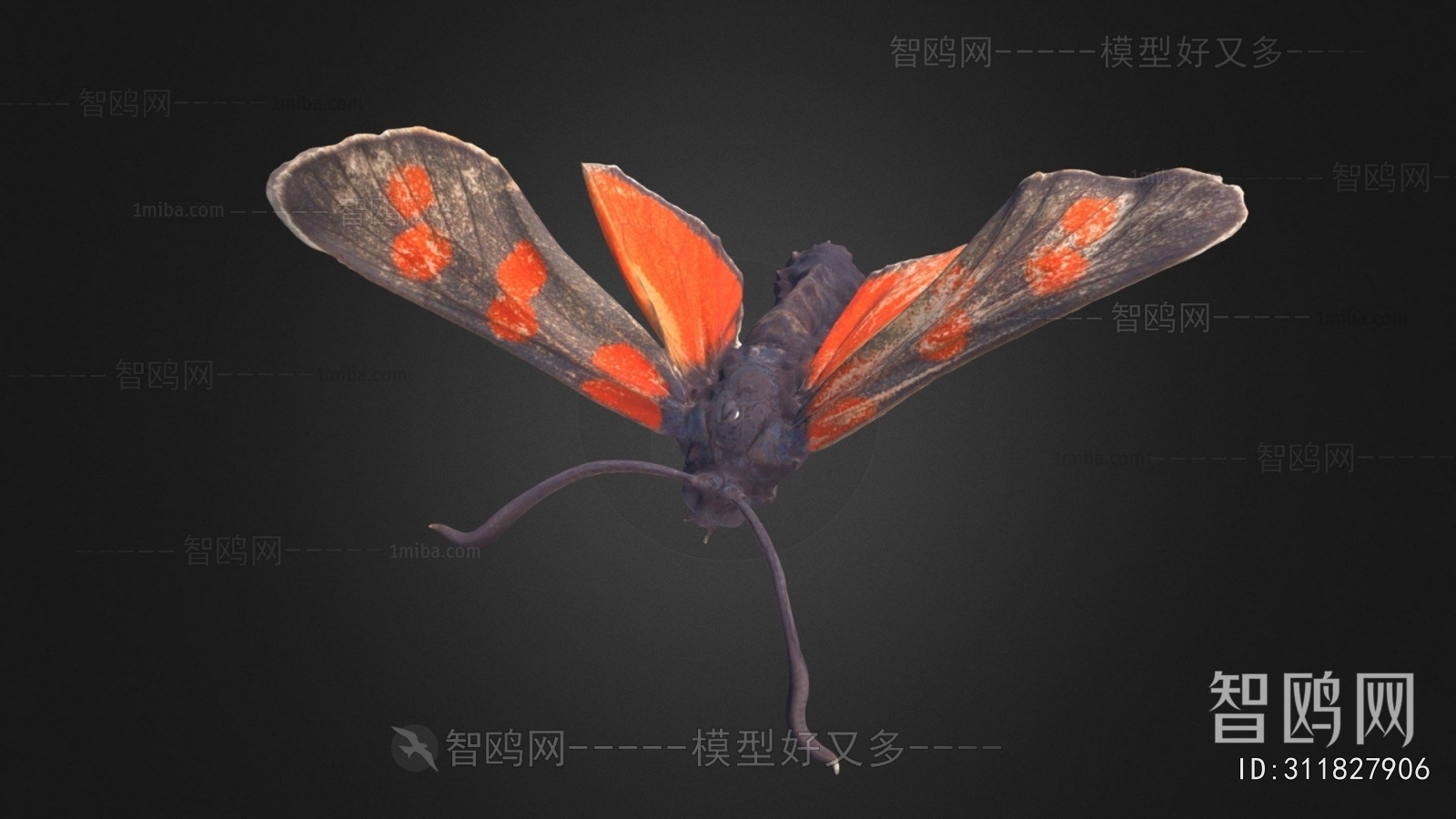 Modern Animal
