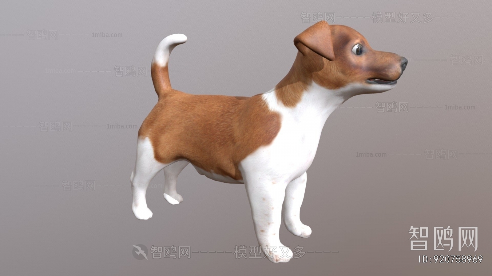 Modern Animal