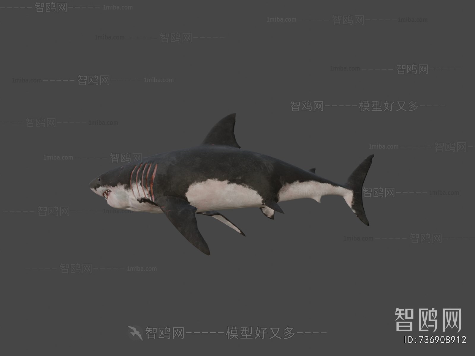 Modern Aquatic Animals