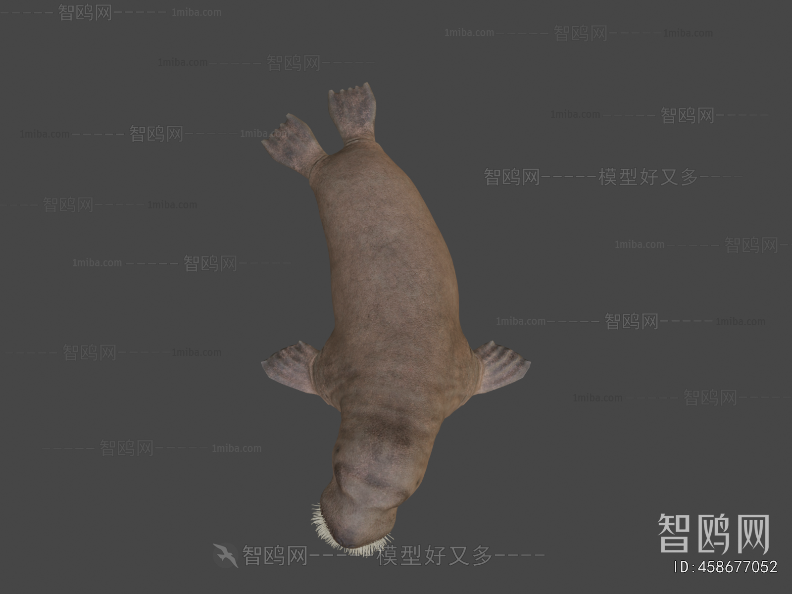 Modern Mammal