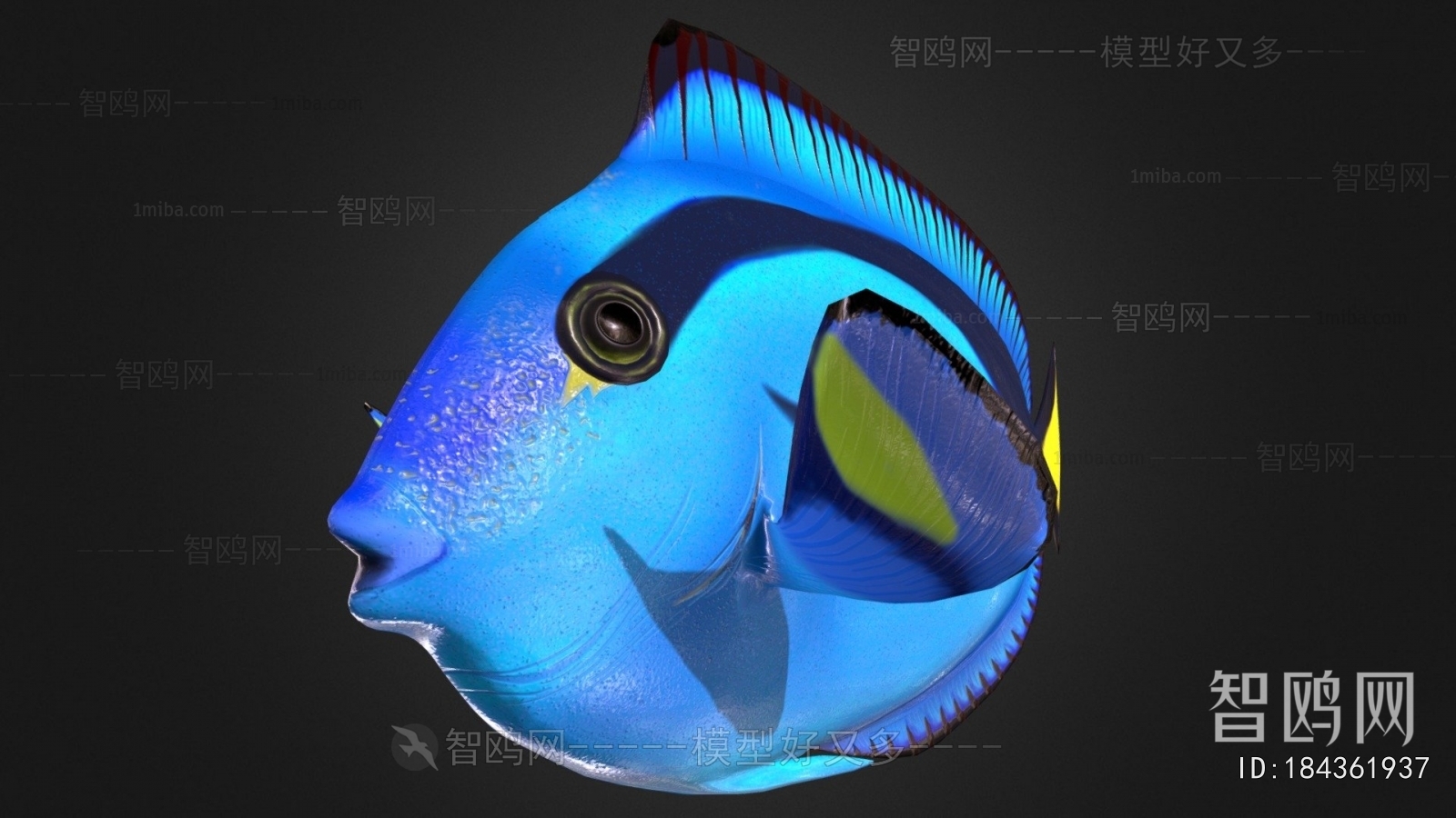 Modern Aquatic Animals