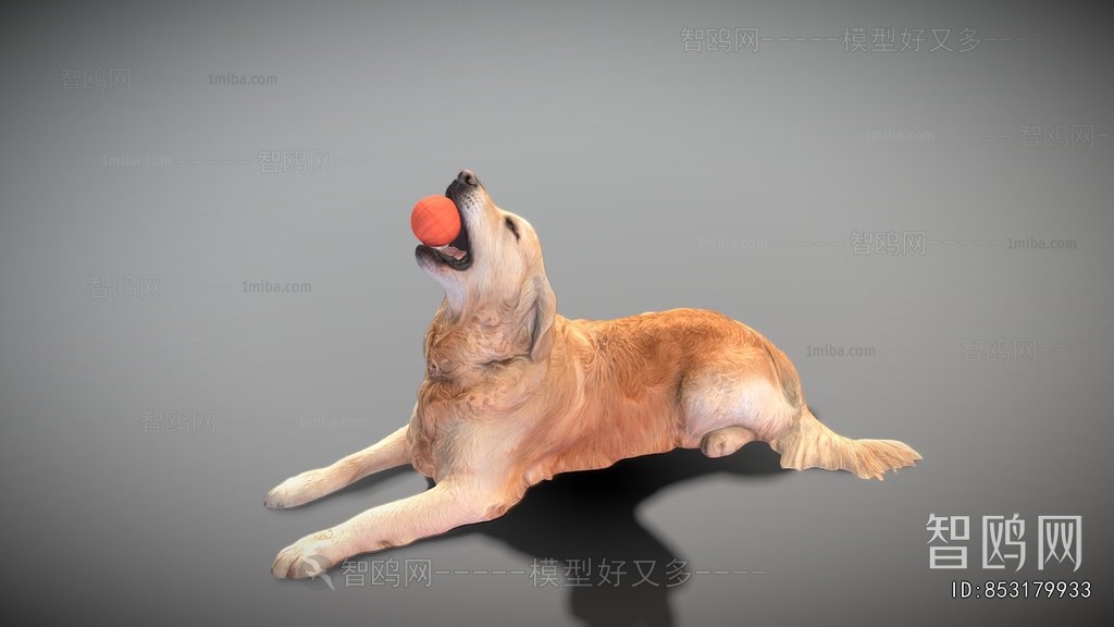 Modern Animal Dog