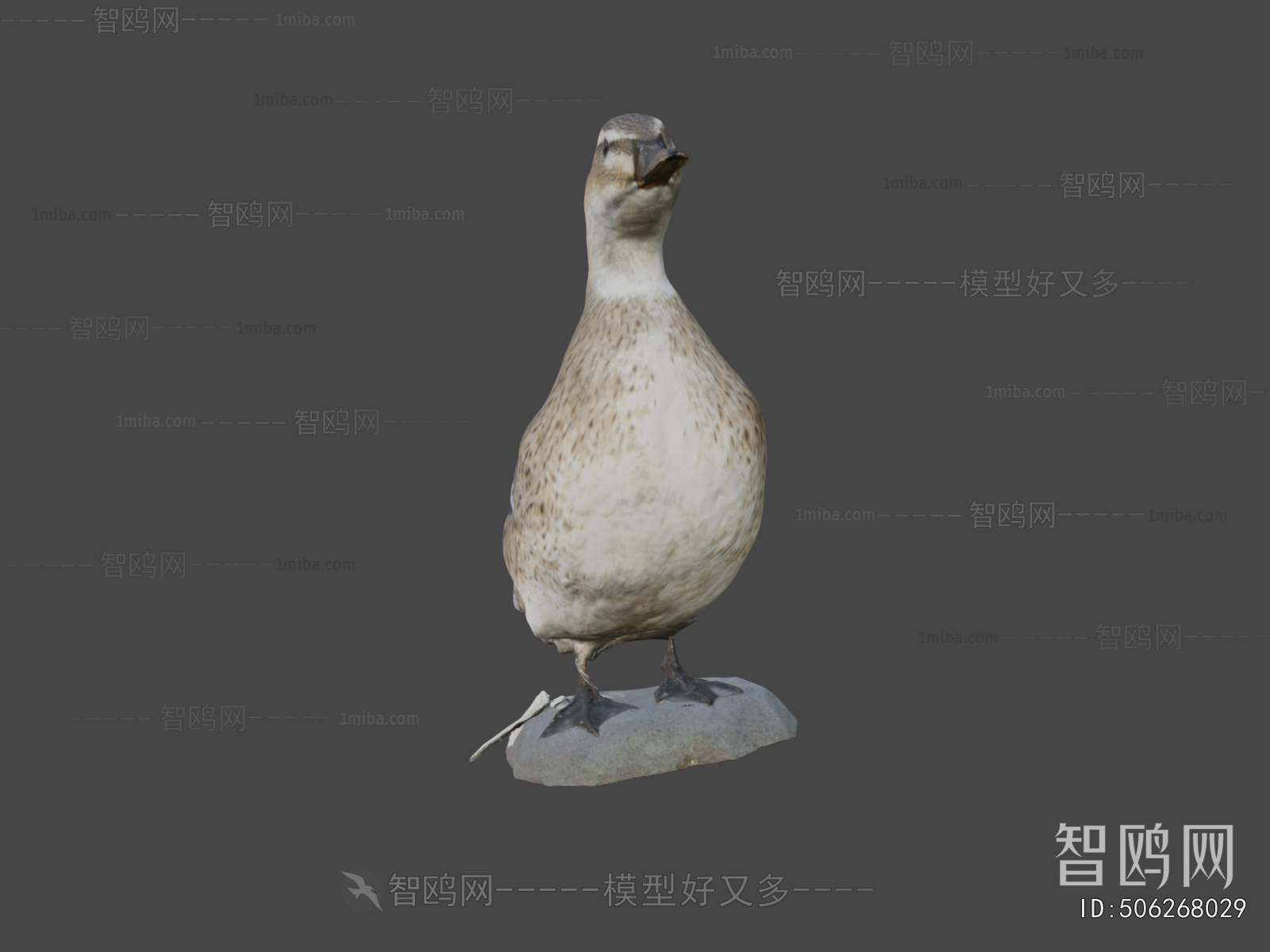 Modern Animal