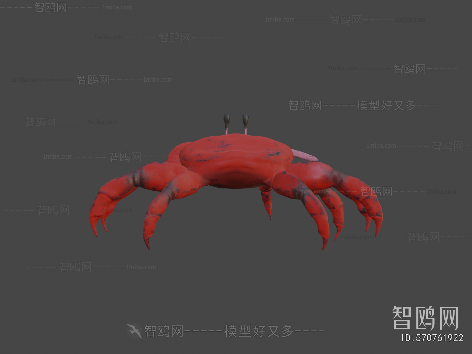 Modern Animal
