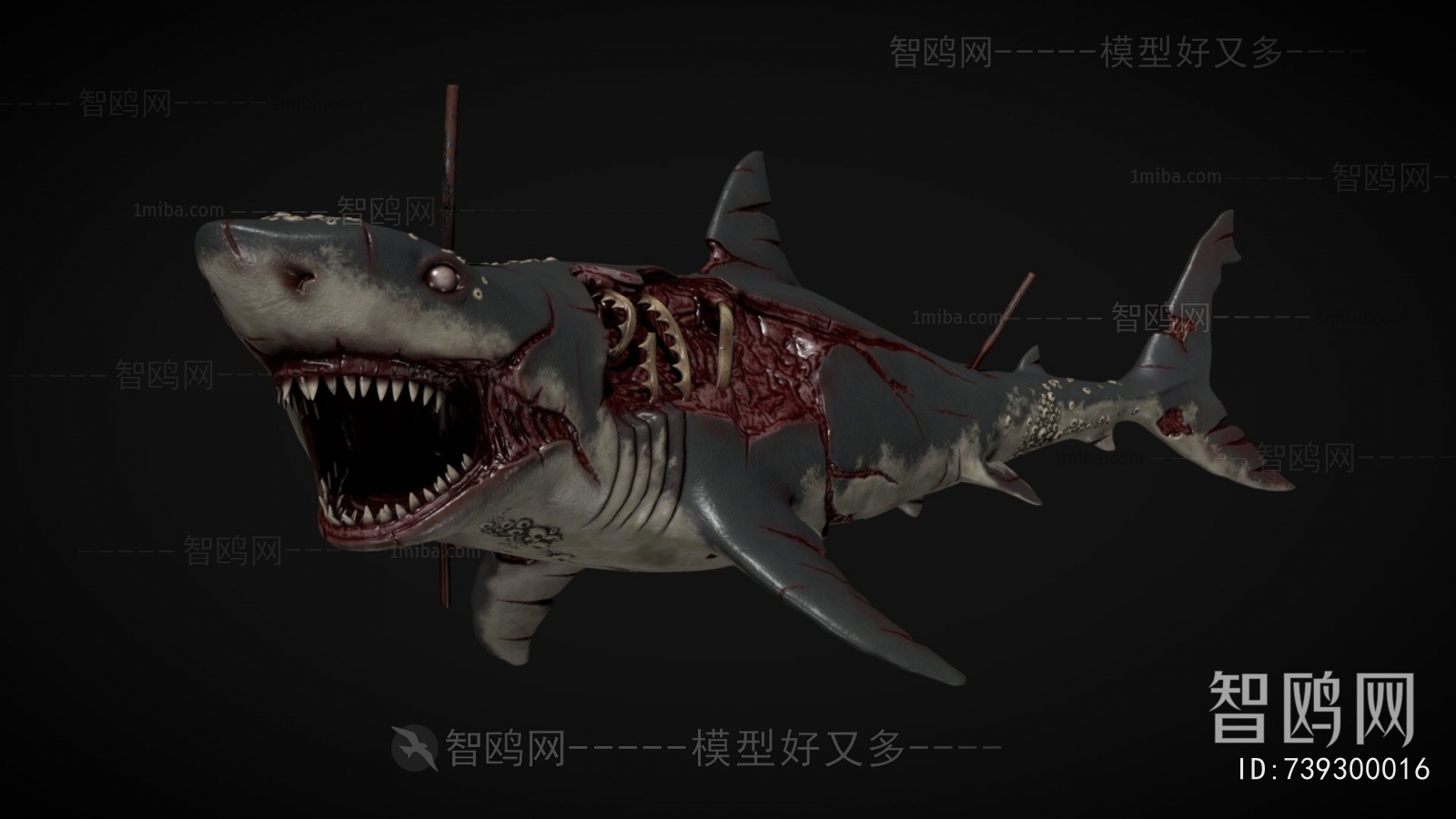 Modern Aquatic Animals