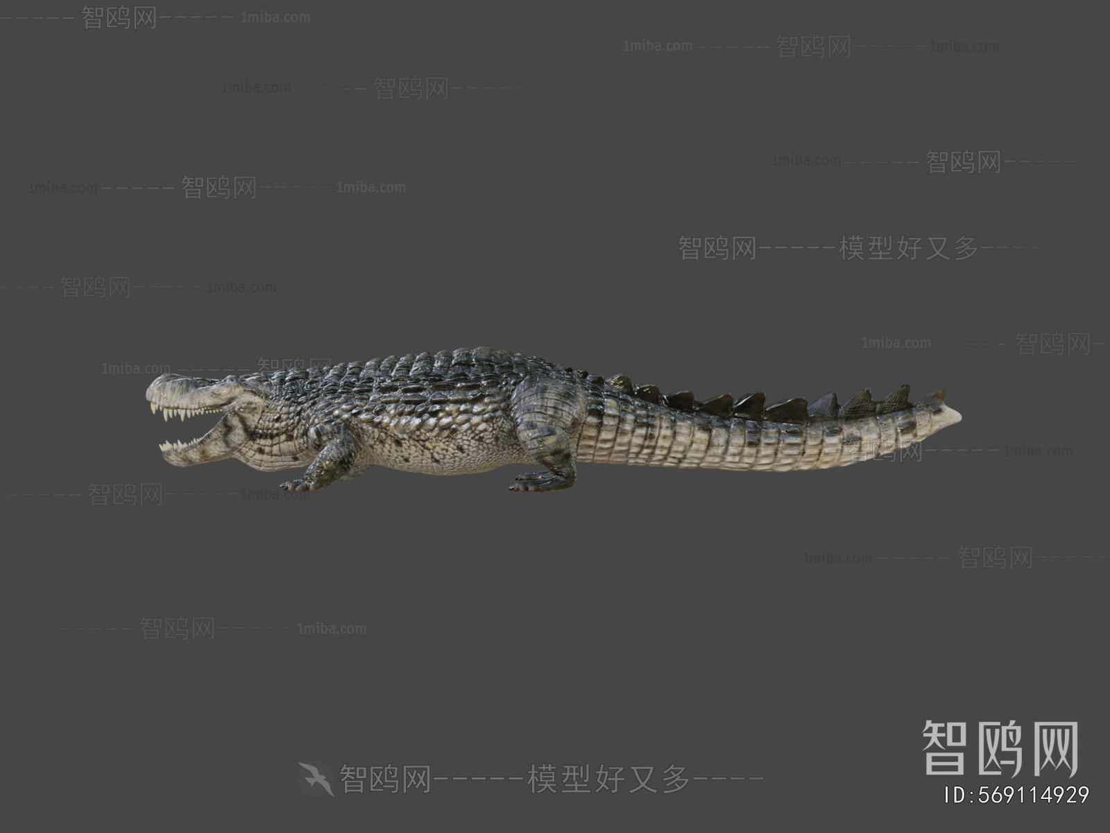 Modern Animal