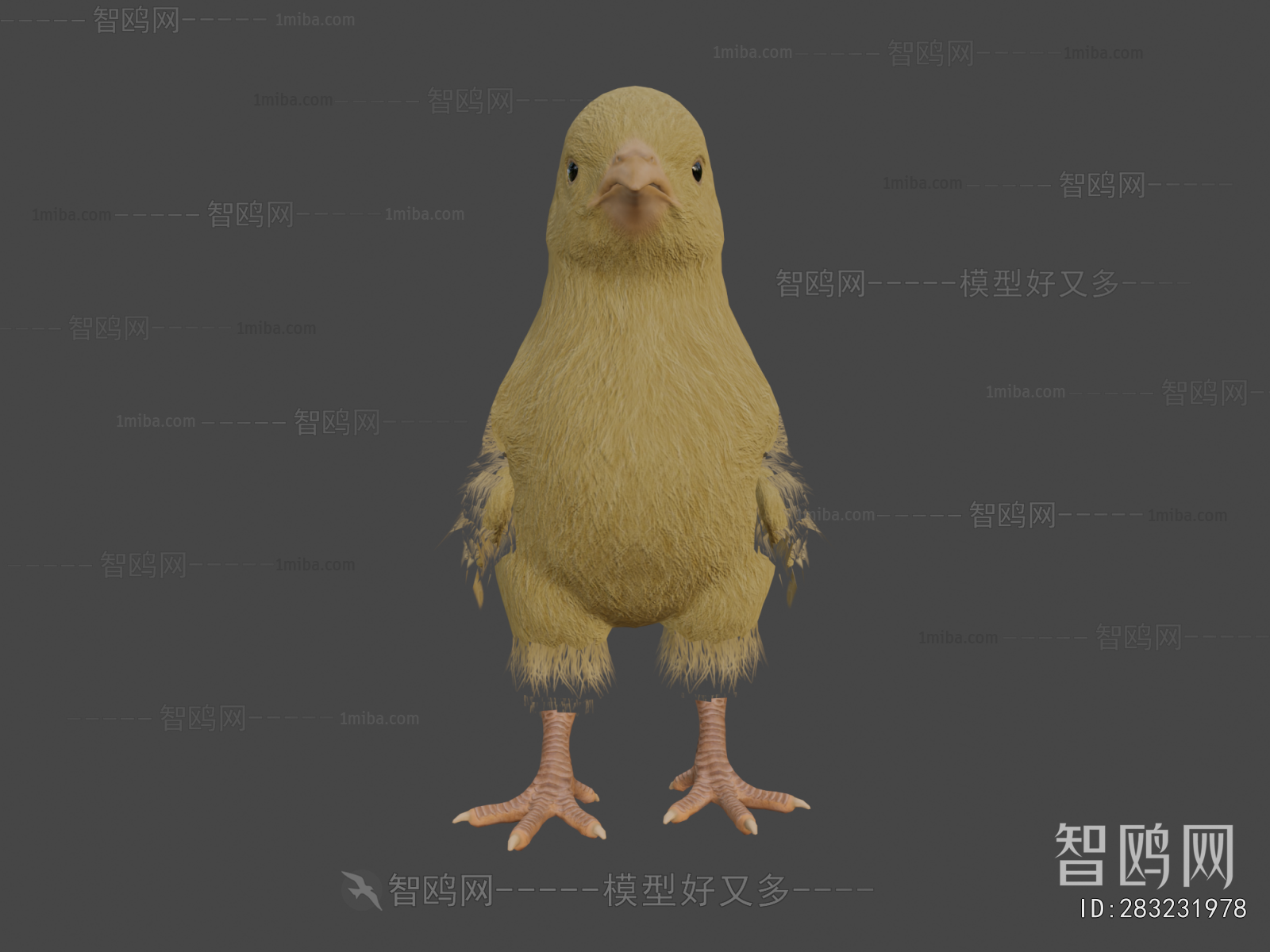 Modern Poultry Animal