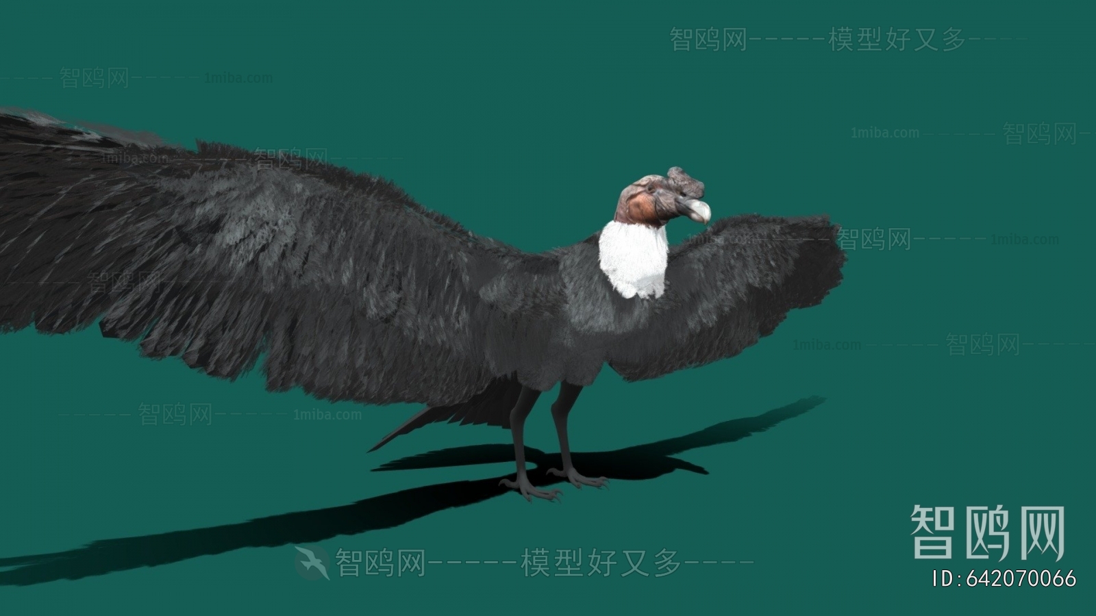 Modern Flying Animals