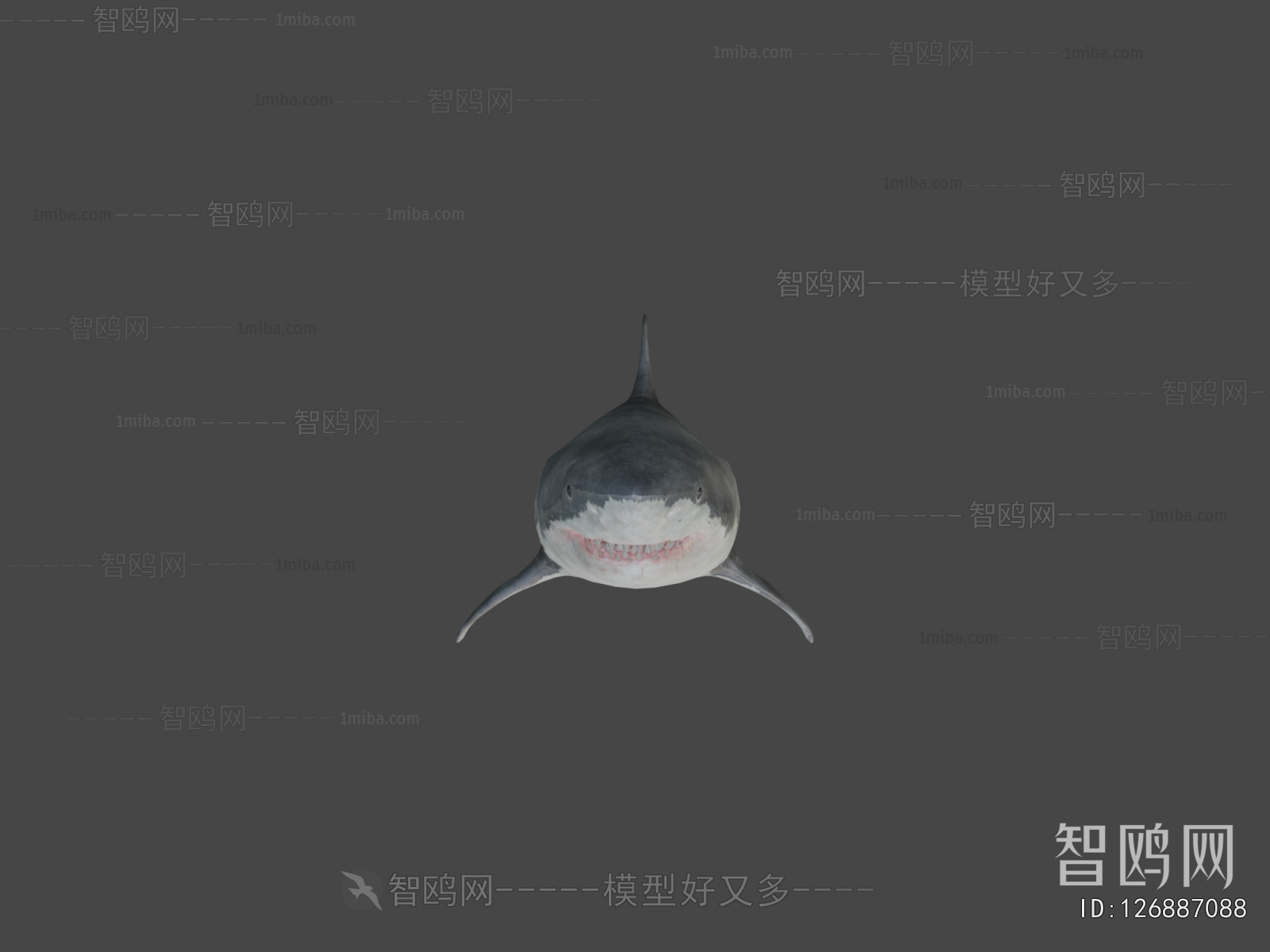 Modern Aquatic Animals