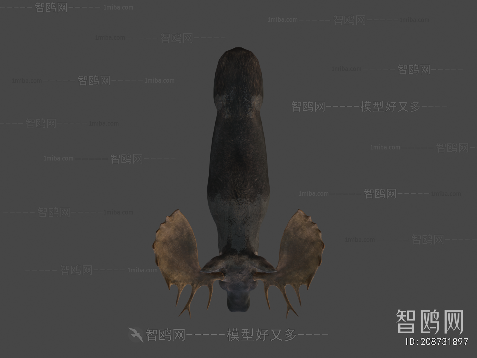 Modern Animal