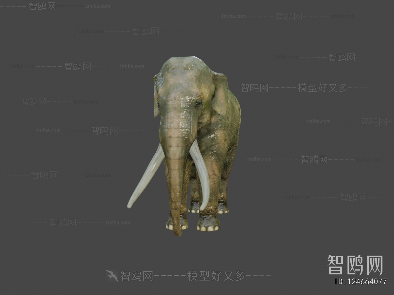 Modern Animal