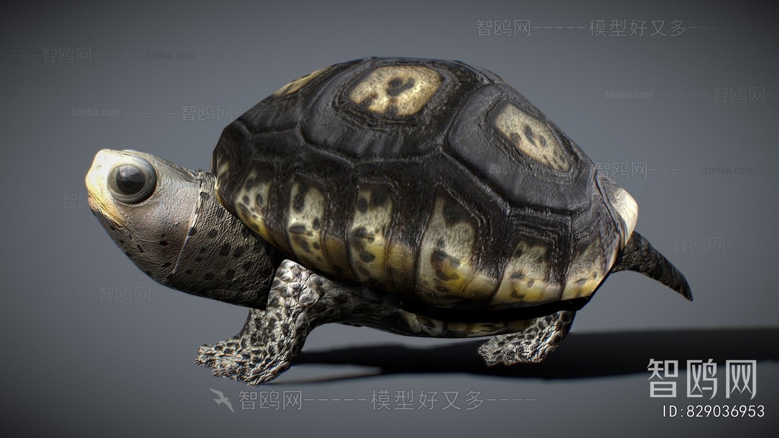 Modern Reptile