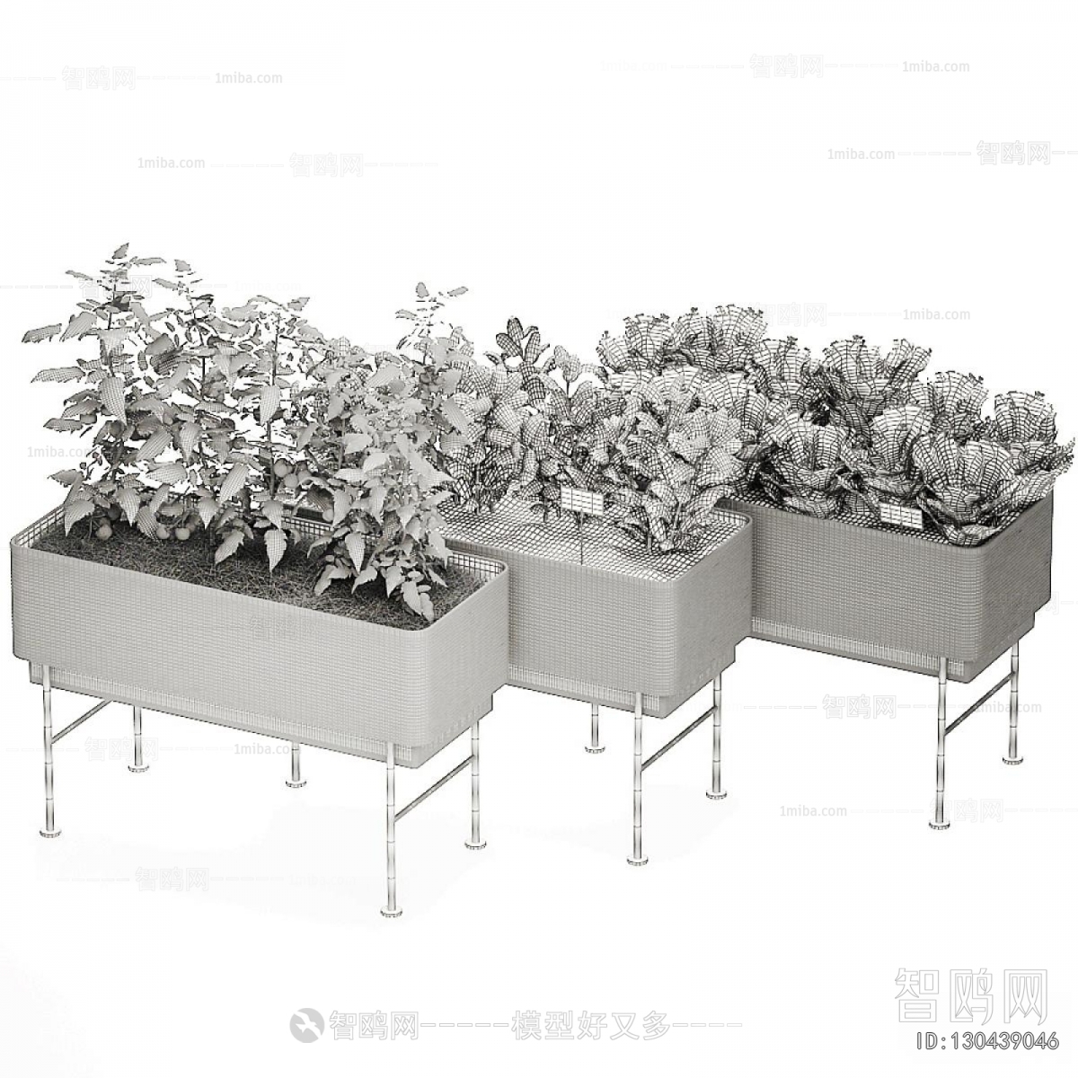 Modern Crop