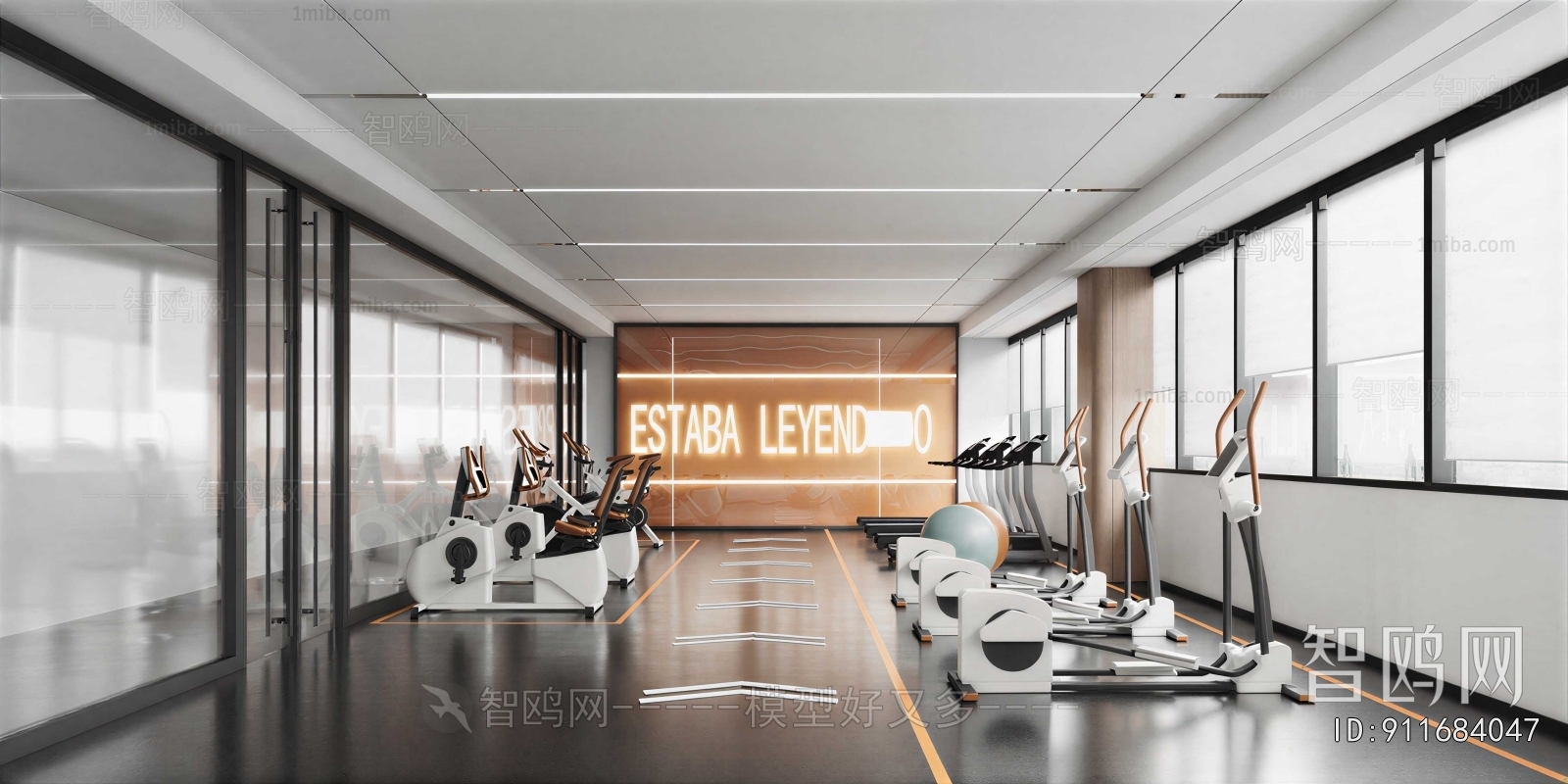 Modern Gym