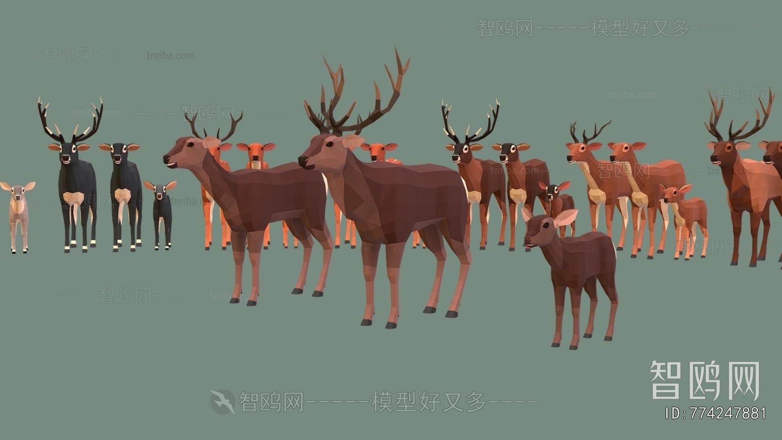Modern Animal