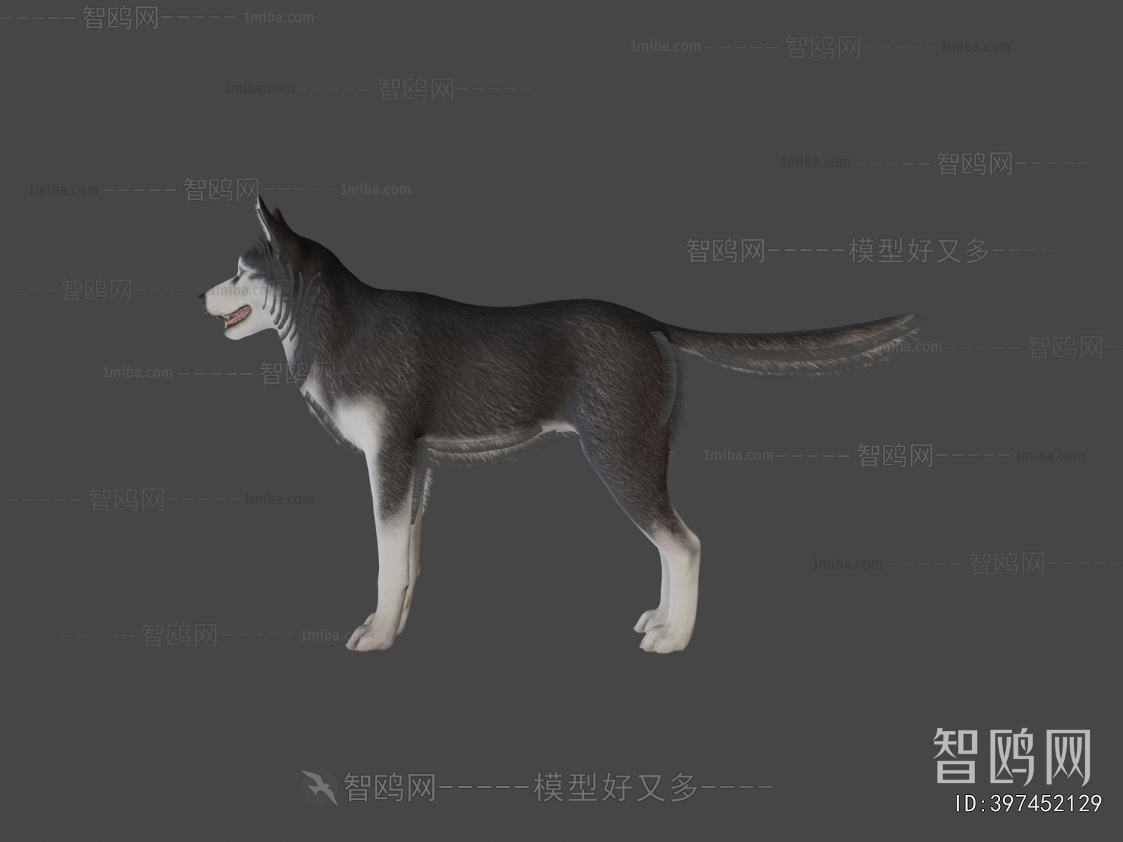 Modern Animal